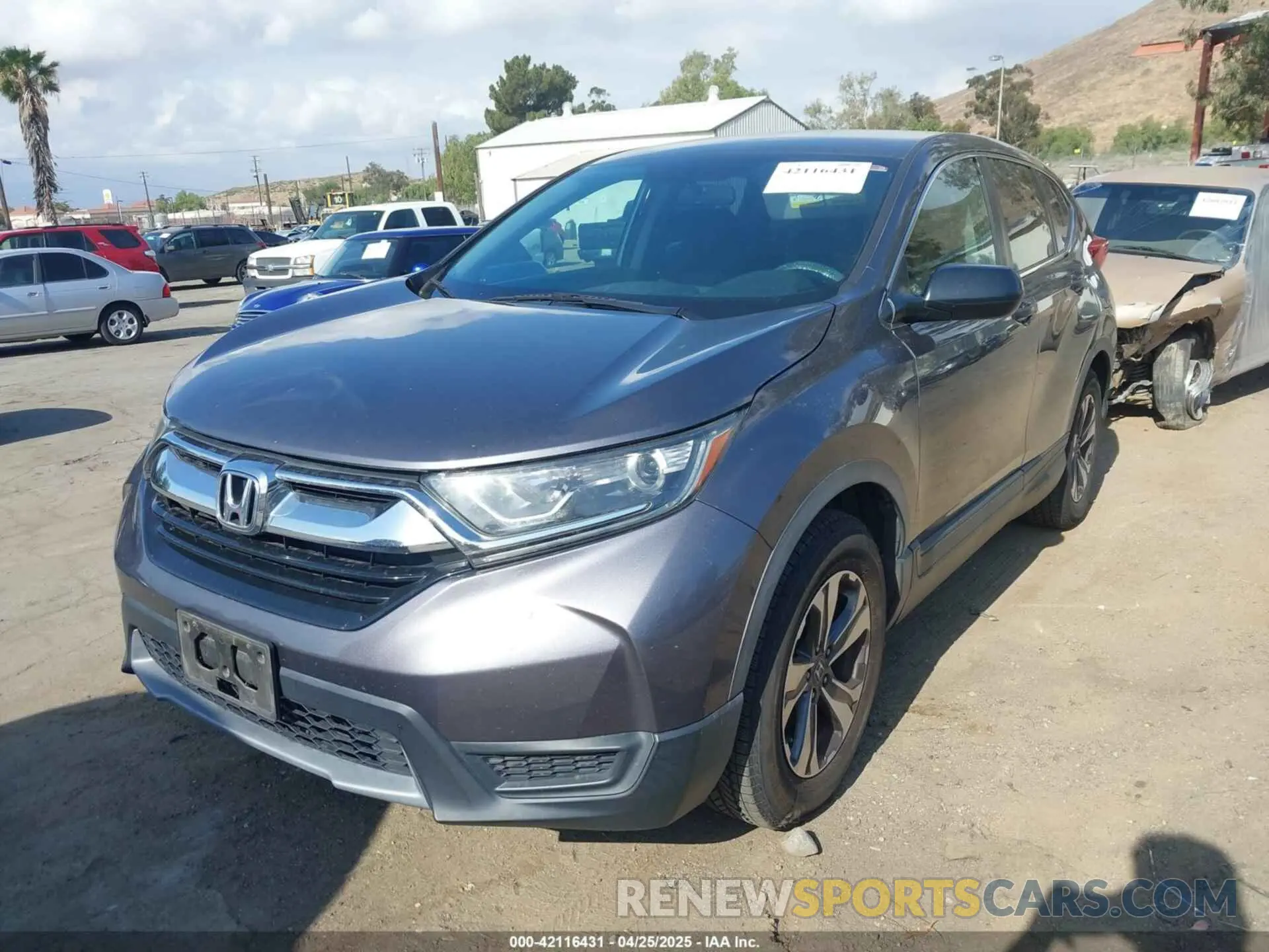 2 Photograph of a damaged car 2HKRW5H33KH401422 HONDA CR-V 2019