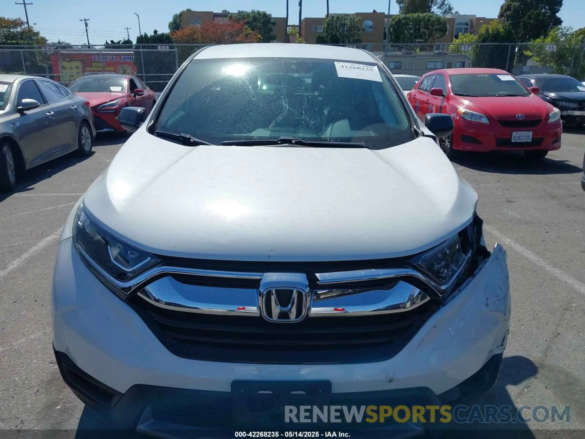 12 Photograph of a damaged car 2HKRW5H34KH405284 HONDA CR-V 2019