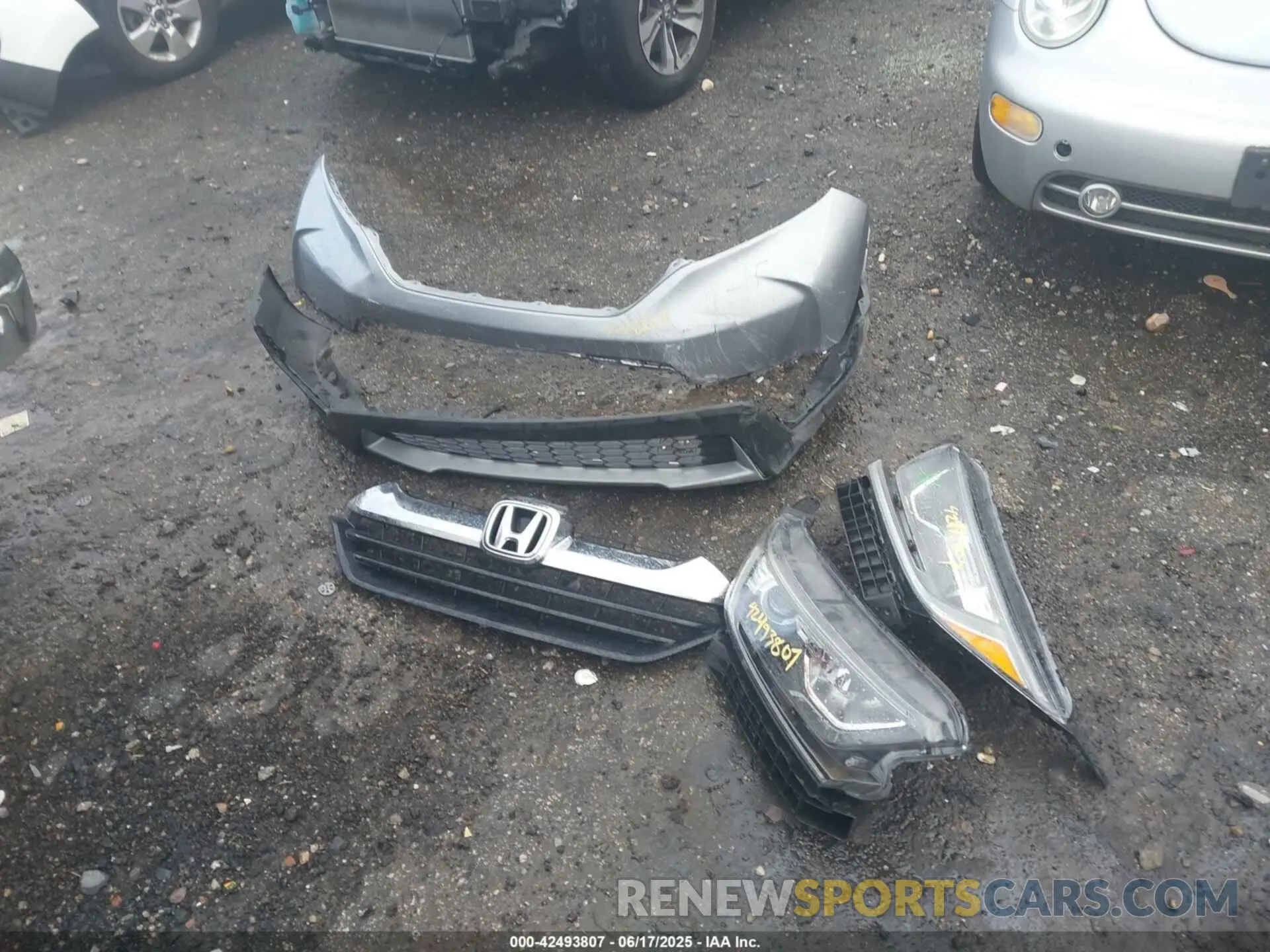 12 Photograph of a damaged car 2HKRW5H37KH420636 HONDA CR-V 2019