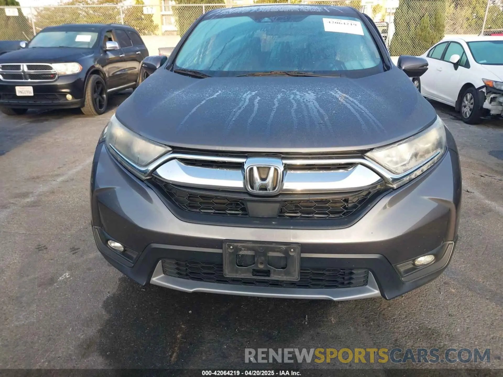 12 Photograph of a damaged car 5J6RW1H52KA033570 HONDA CR-V 2019