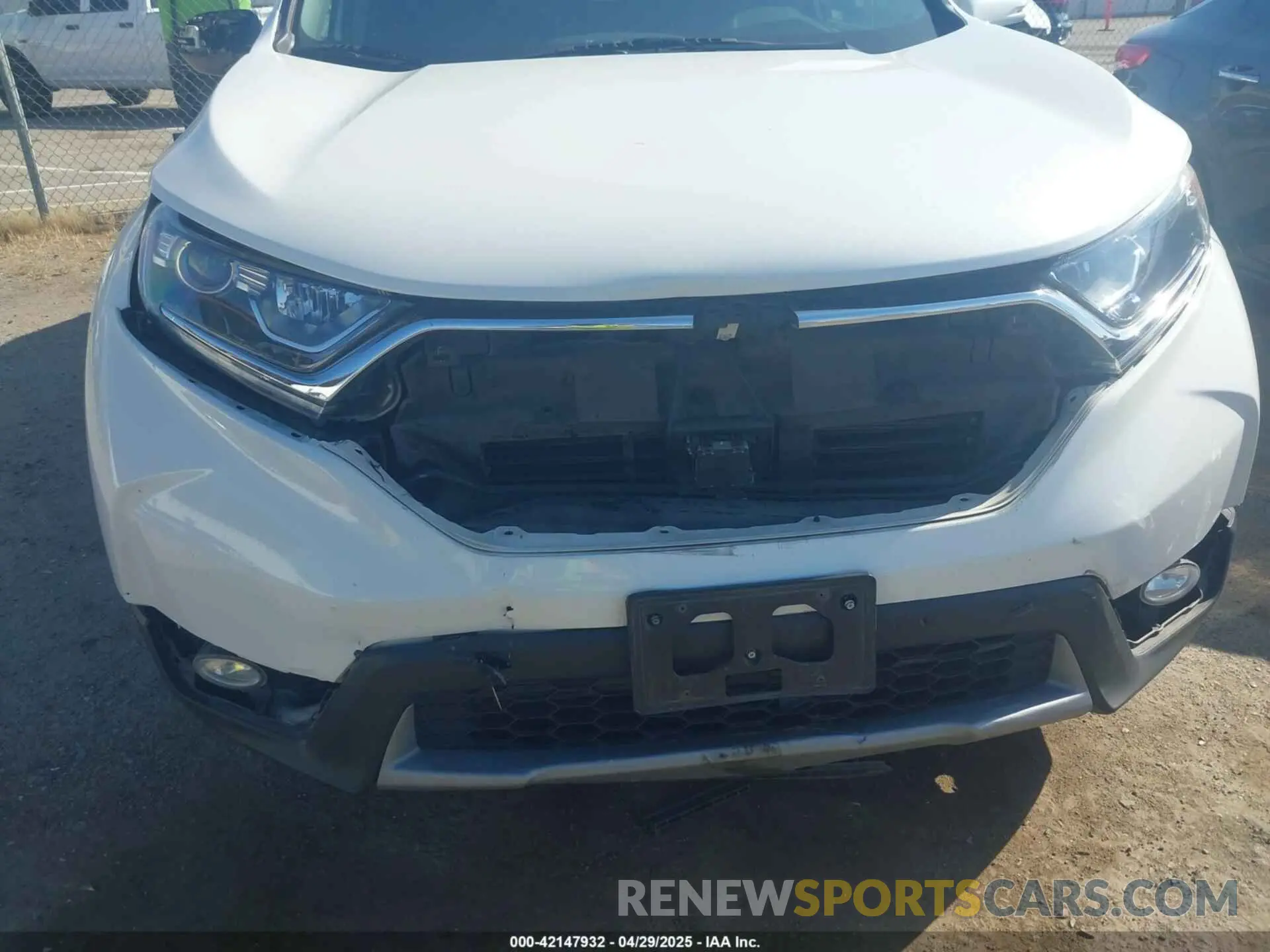 6 Photograph of a damaged car 5J6RW1H54KA020531 HONDA CR-V 2019