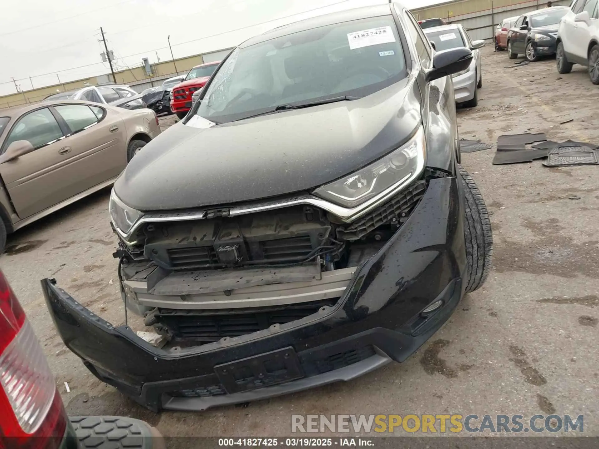 12 Photograph of a damaged car 5J6RW1H54KA039693 HONDA CR-V 2019