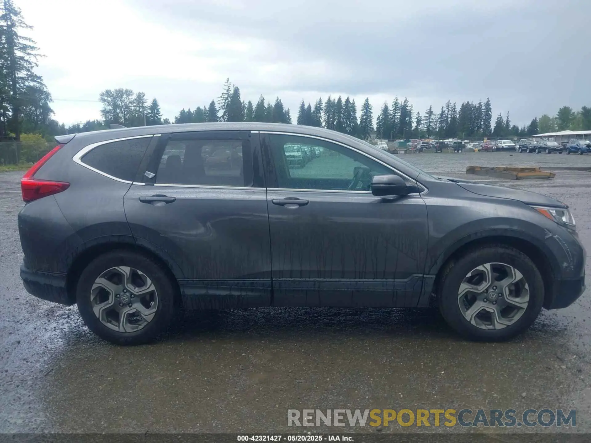 13 Photograph of a damaged car 5J6RW1H55KA005410 HONDA CR-V 2019