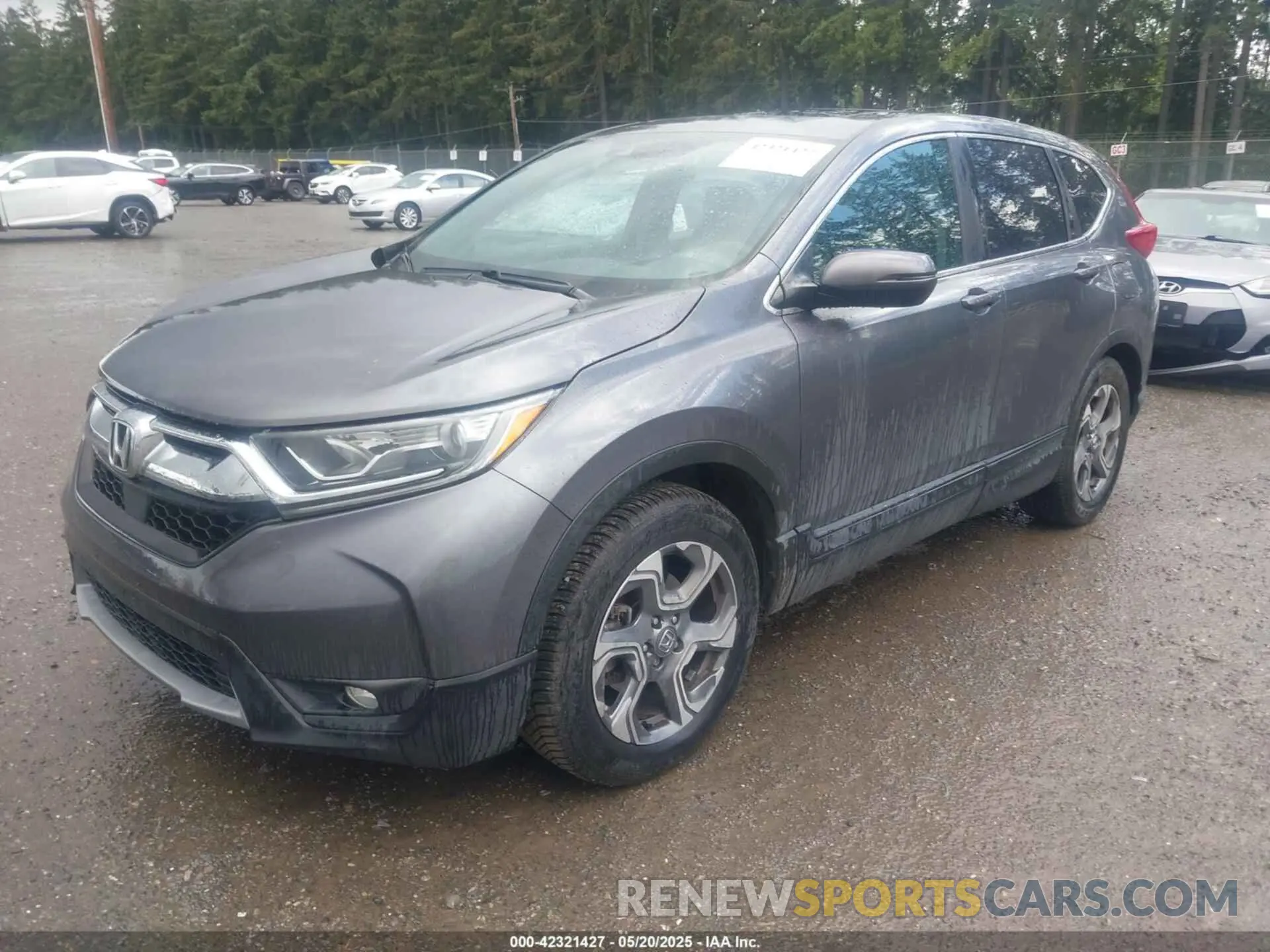 2 Photograph of a damaged car 5J6RW1H55KA005410 HONDA CR-V 2019