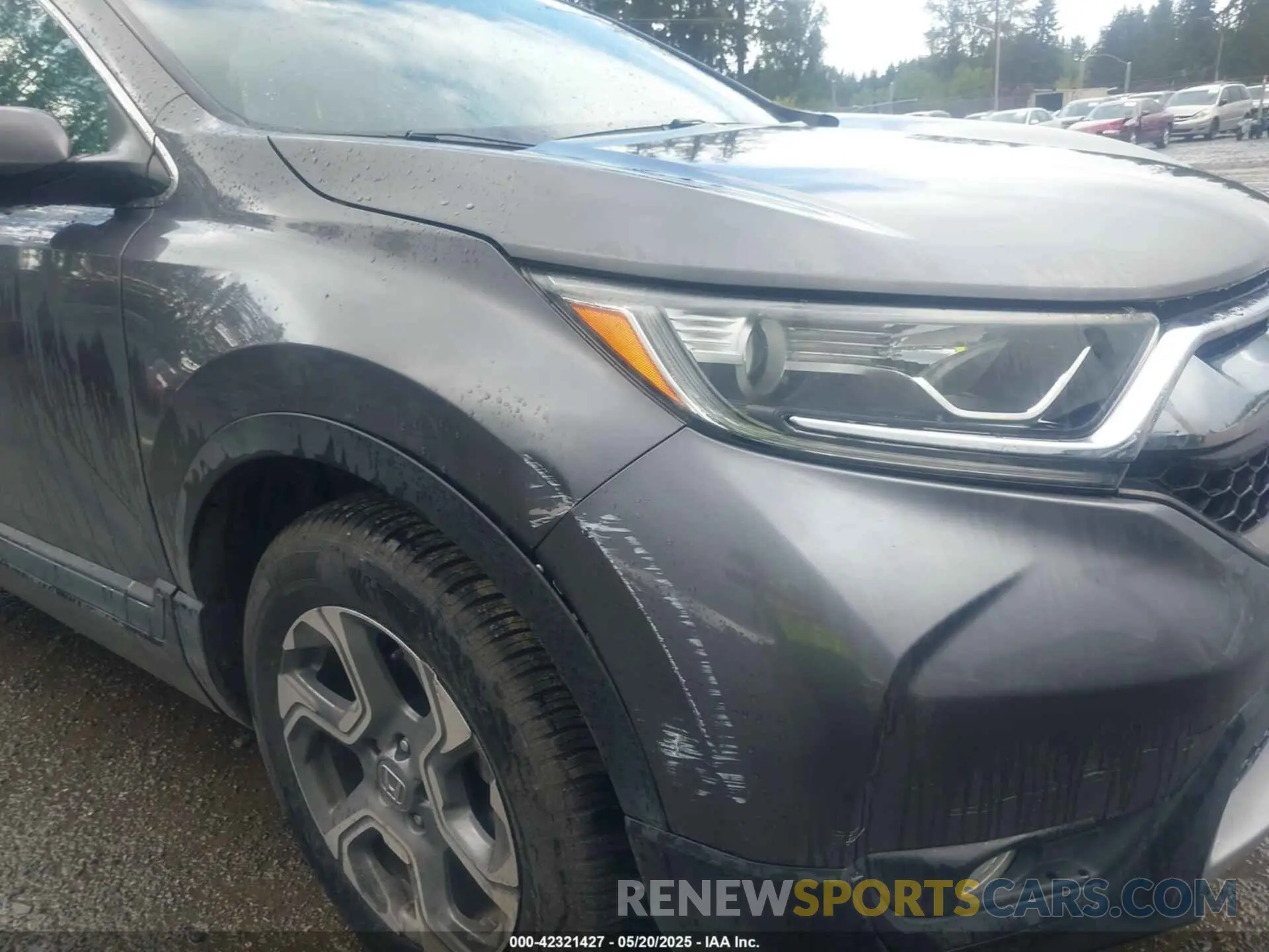 6 Photograph of a damaged car 5J6RW1H55KA005410 HONDA CR-V 2019