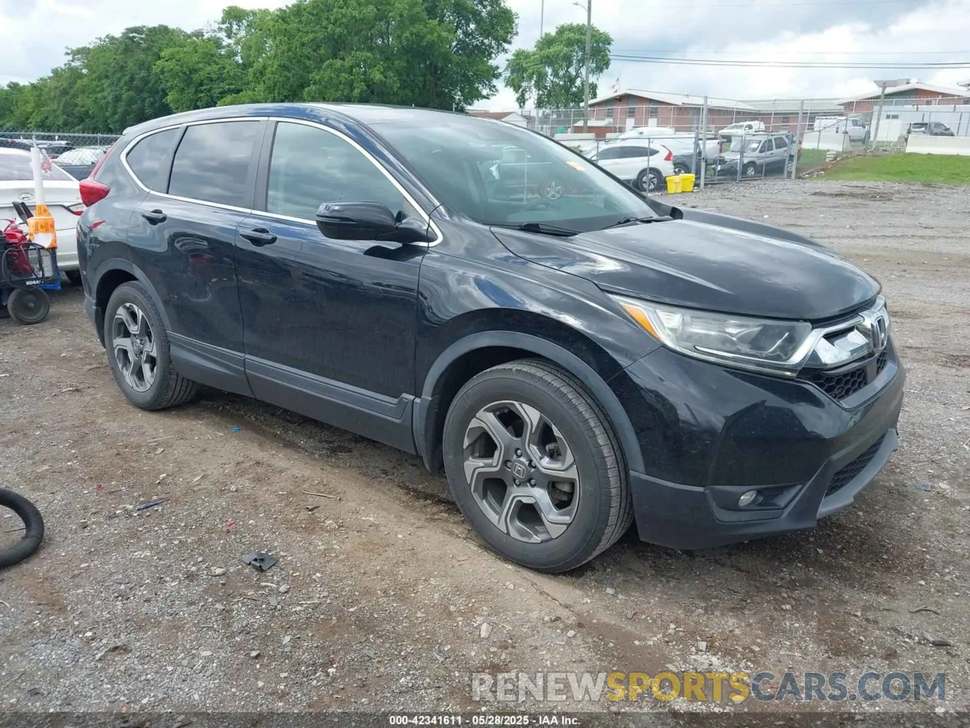 1 Photograph of a damaged car 5J6RW1H59KA025062 HONDA CR-V 2019