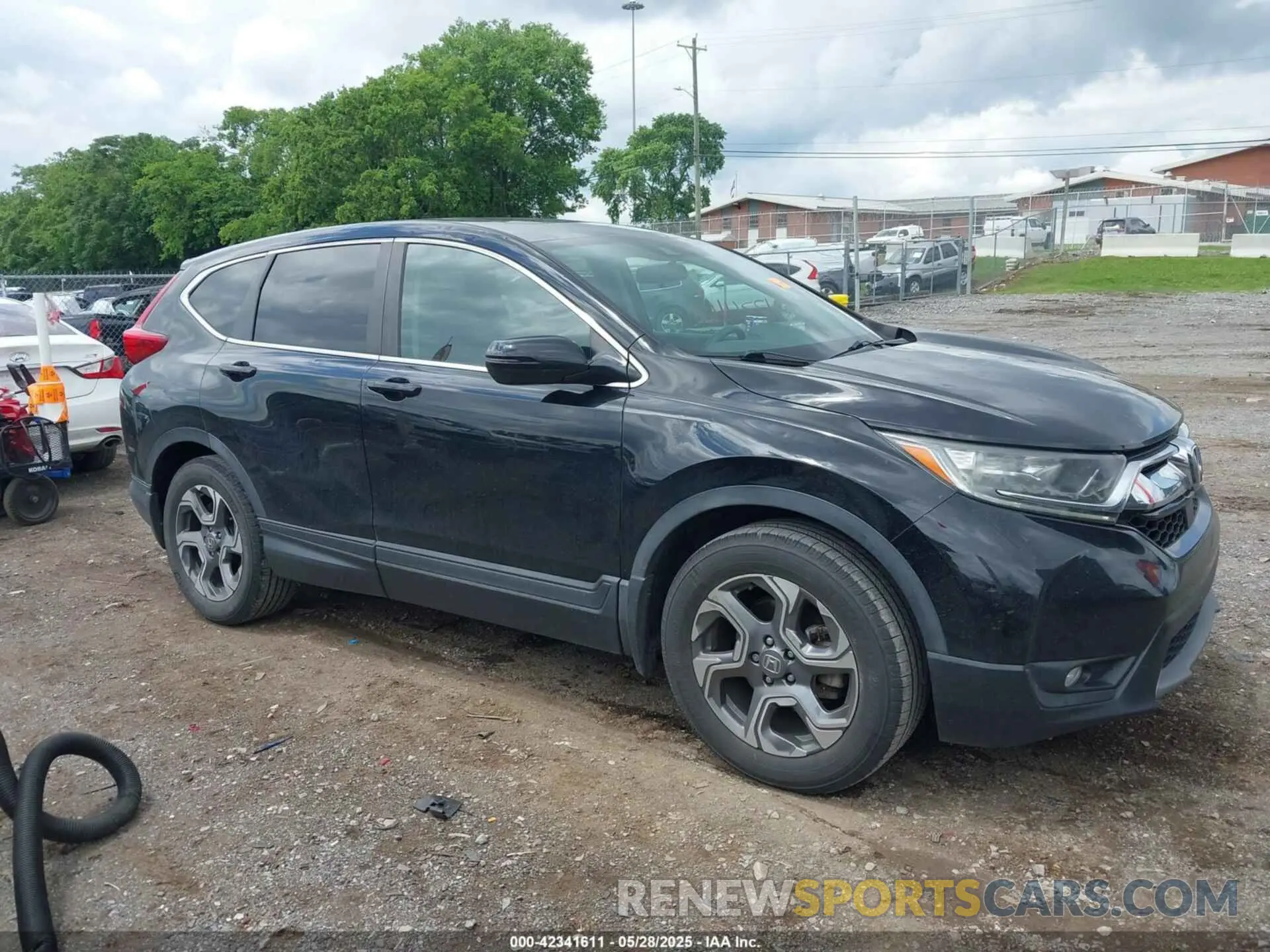 13 Photograph of a damaged car 5J6RW1H59KA025062 HONDA CR-V 2019