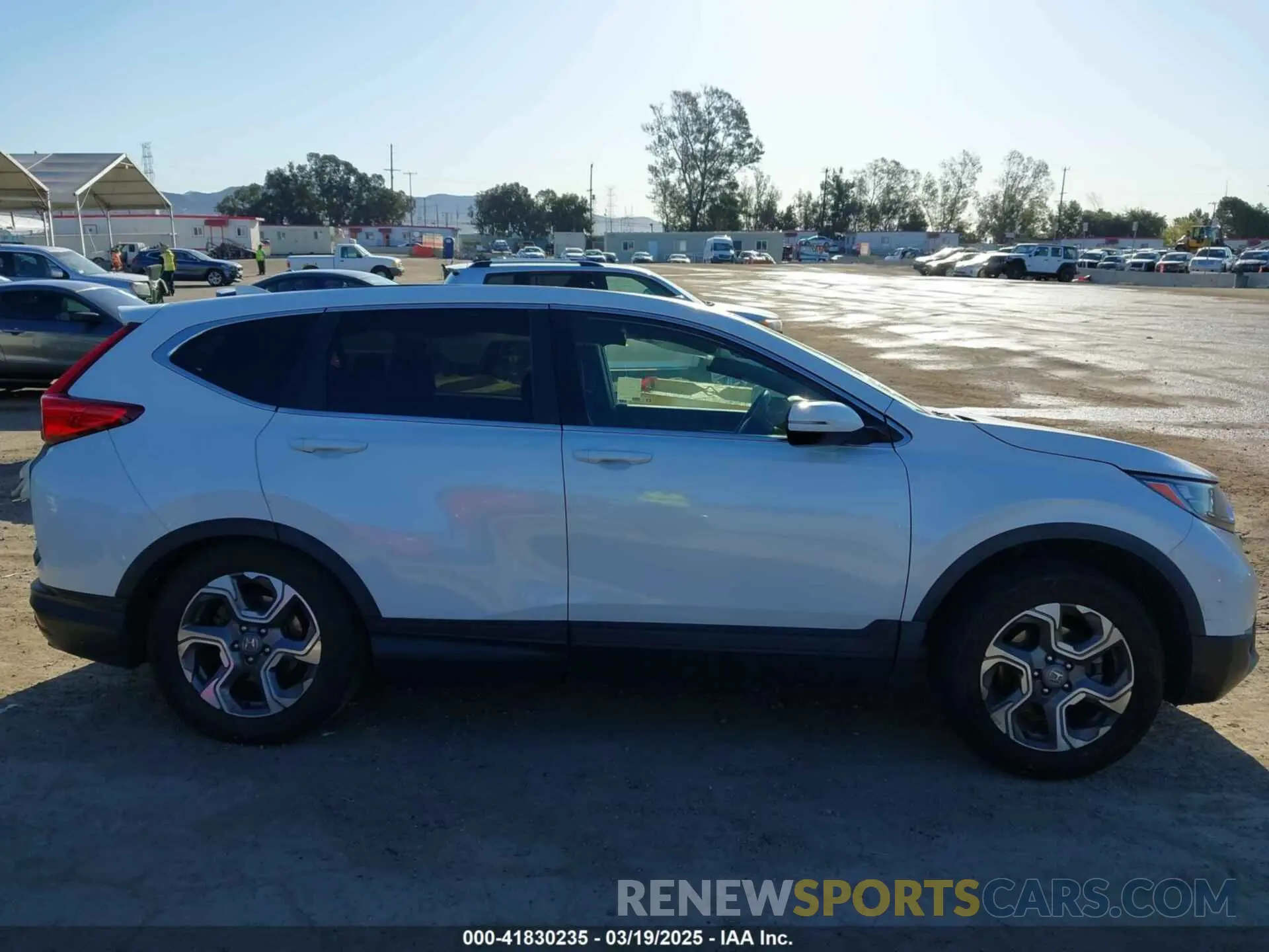 12 Photograph of a damaged car 5J6RW1H59KA034232 HONDA CR-V 2019