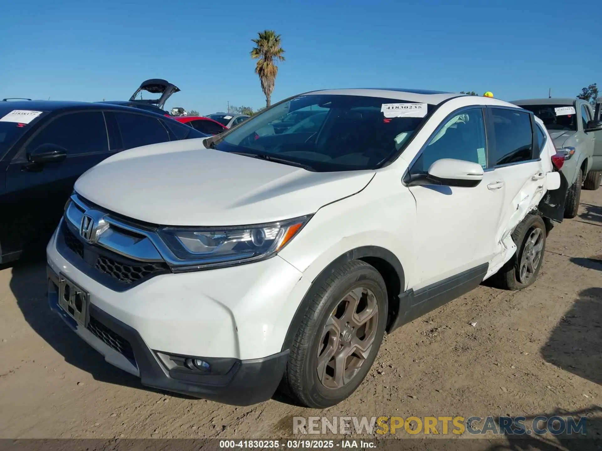 2 Photograph of a damaged car 5J6RW1H59KA034232 HONDA CR-V 2019