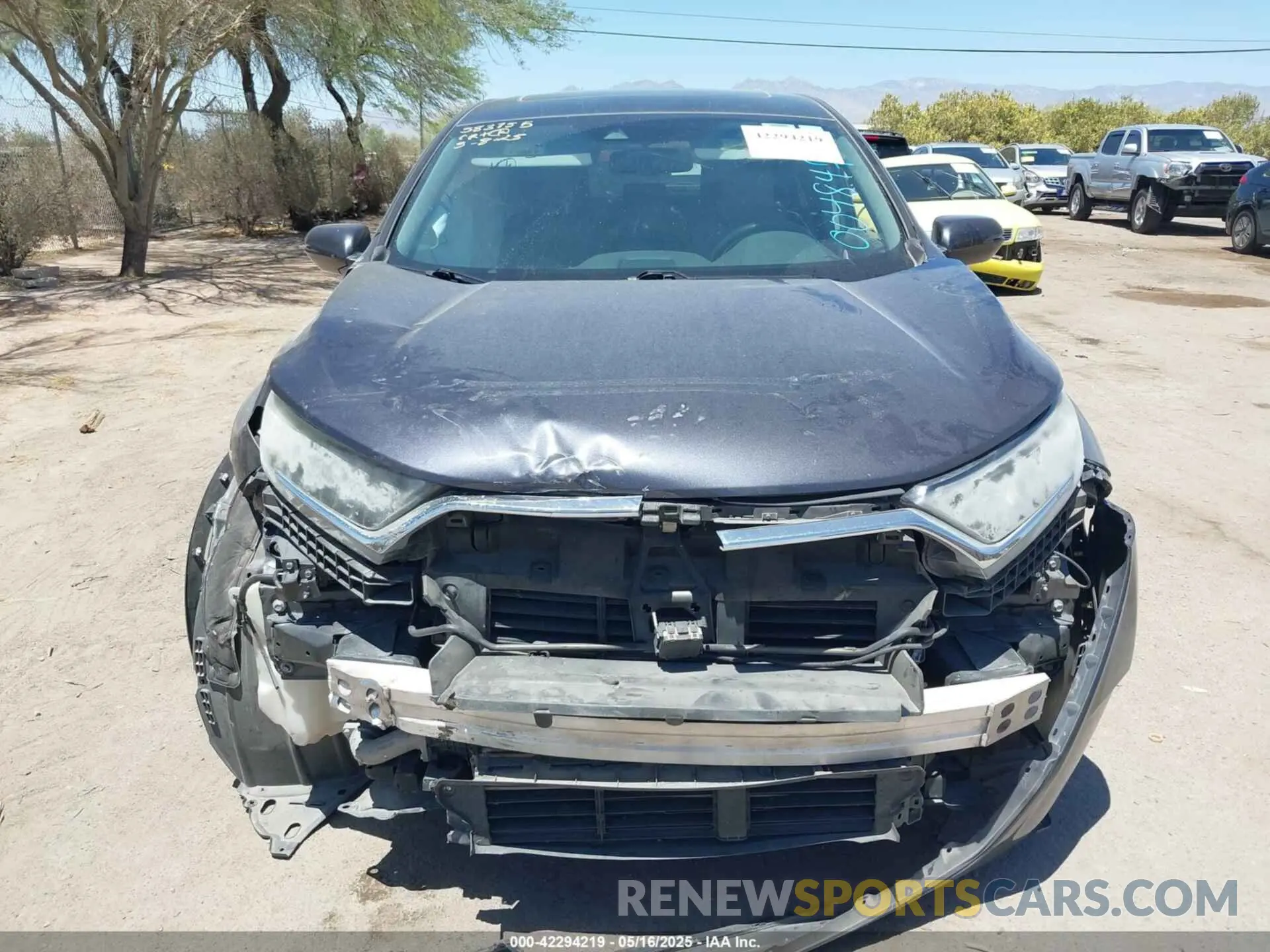 13 Photograph of a damaged car 5J6RW1H83KA004847 HONDA CR-V 2019