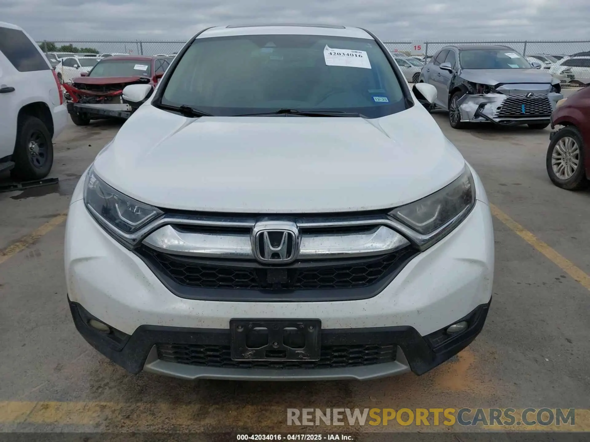 13 Photograph of a damaged car 5J6RW1H86KA008732 HONDA CR-V 2019