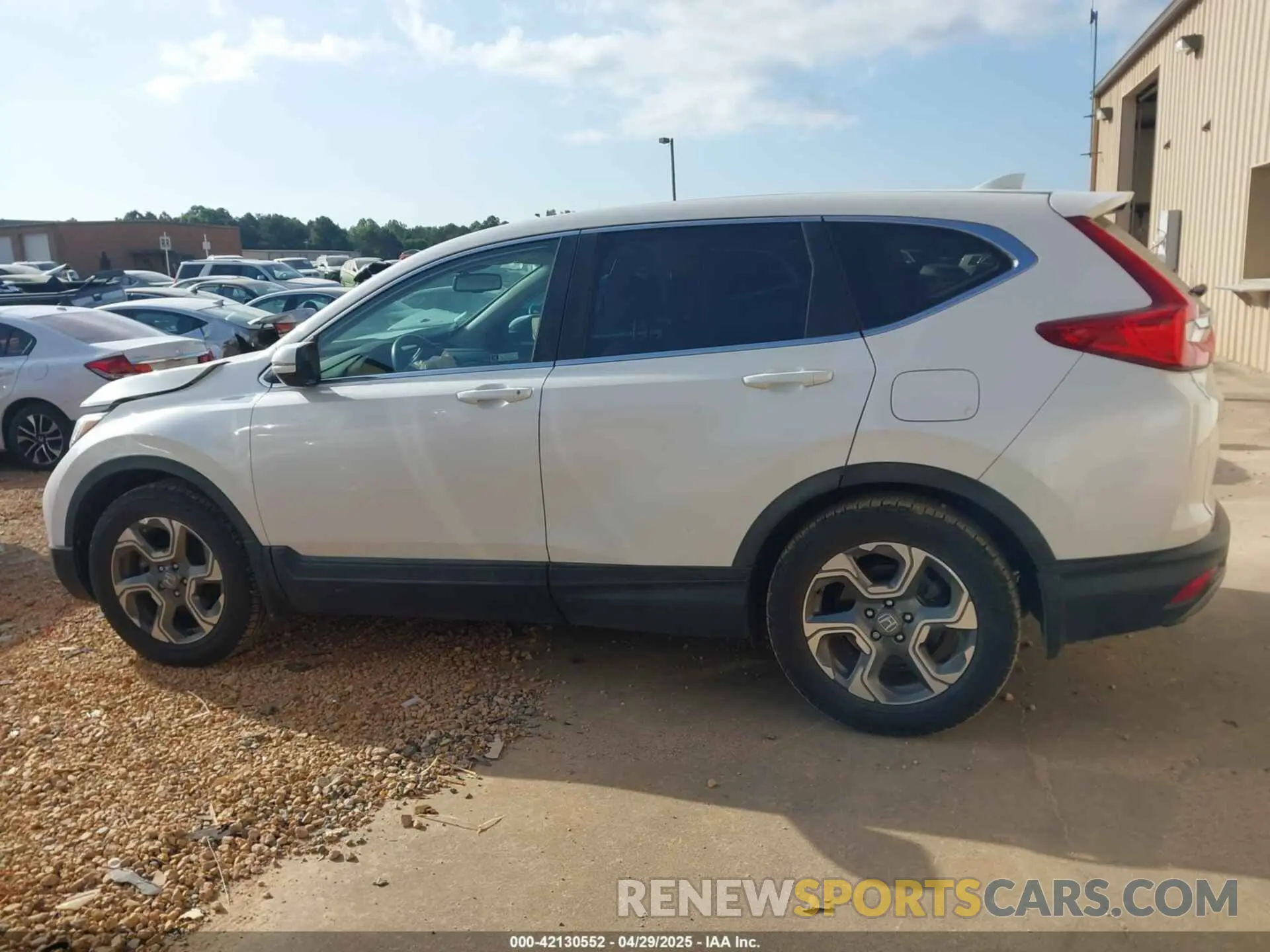 14 Photograph of a damaged car 5J6RW1H87KL006234 HONDA CR-V 2019