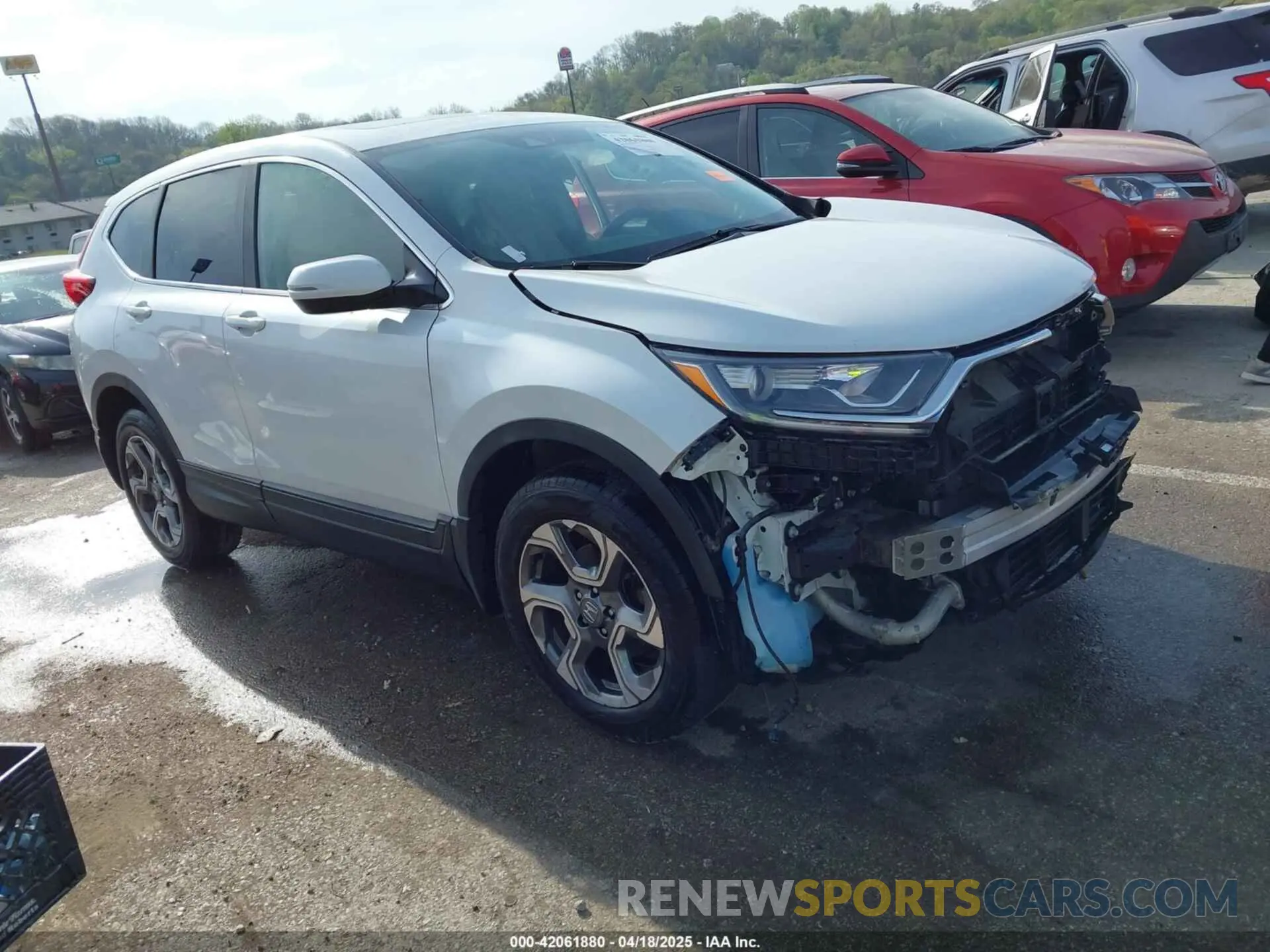 1 Photograph of a damaged car 5J6RW2H50KA004428 HONDA CR-V 2019