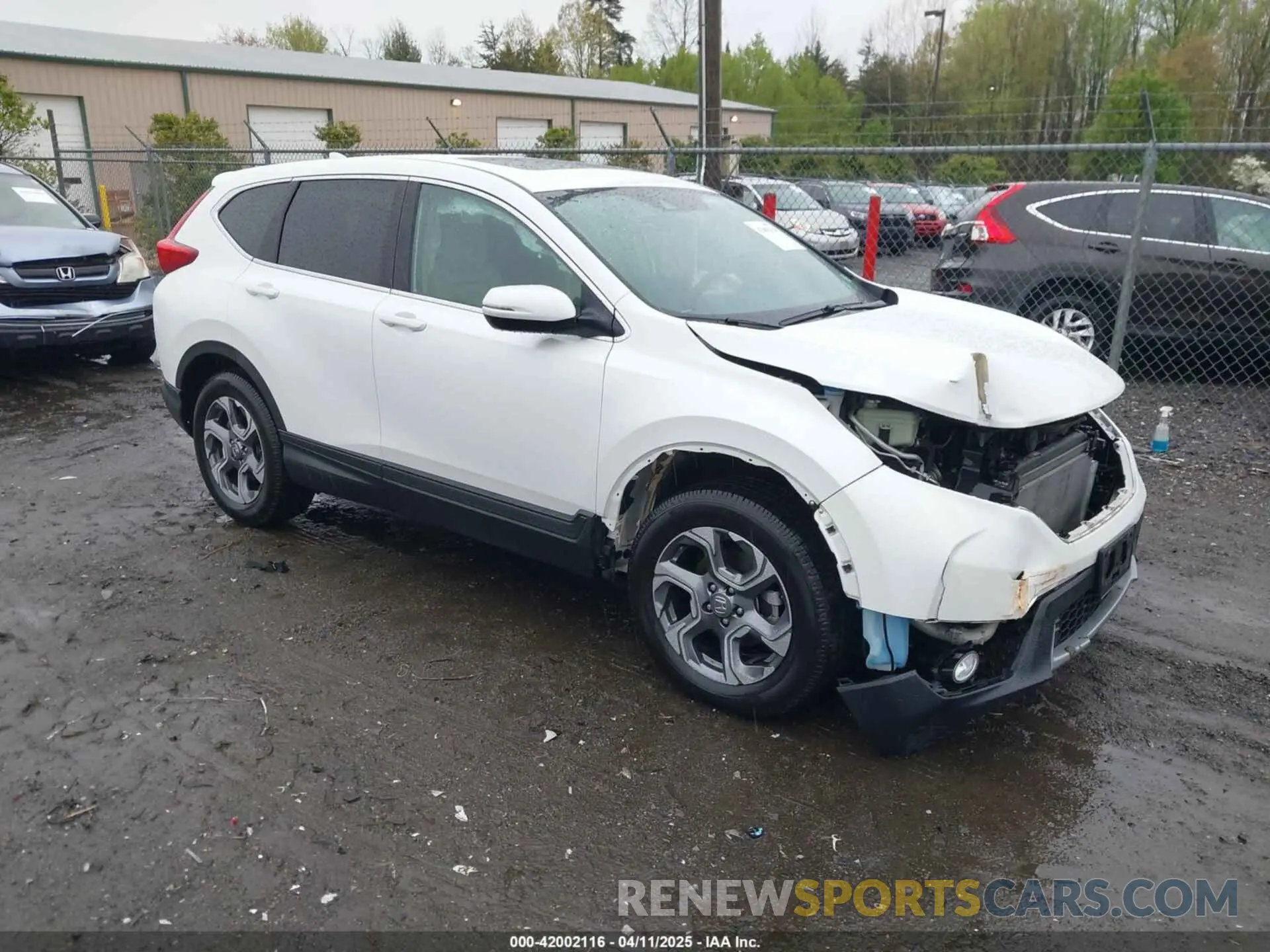 1 Photograph of a damaged car 5J6RW2H51KL009271 HONDA CR-V 2019