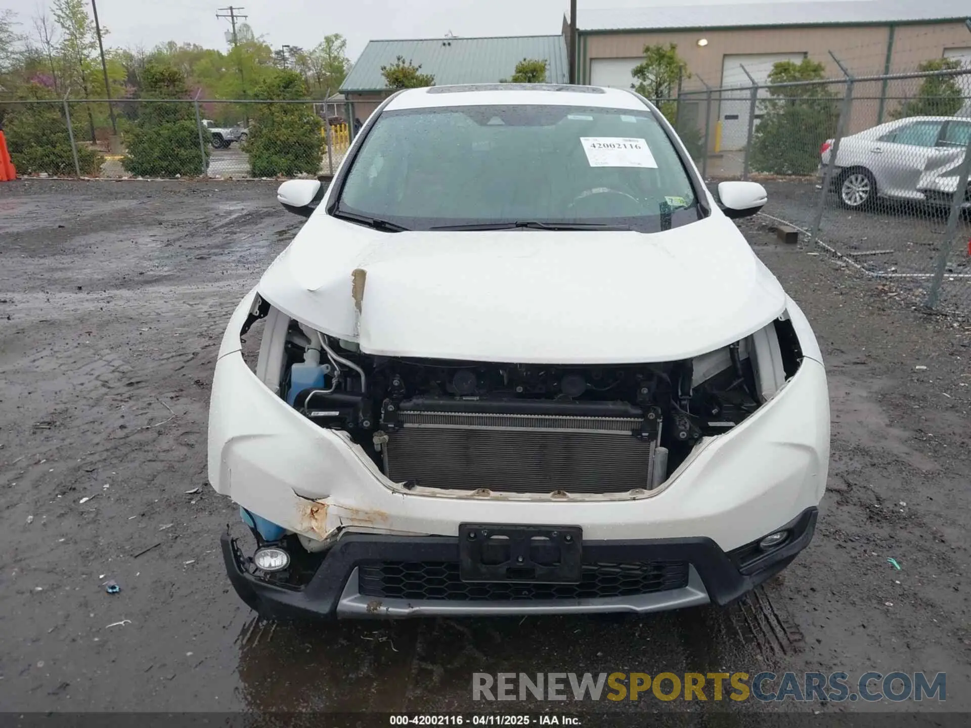 6 Photograph of a damaged car 5J6RW2H51KL009271 HONDA CR-V 2019