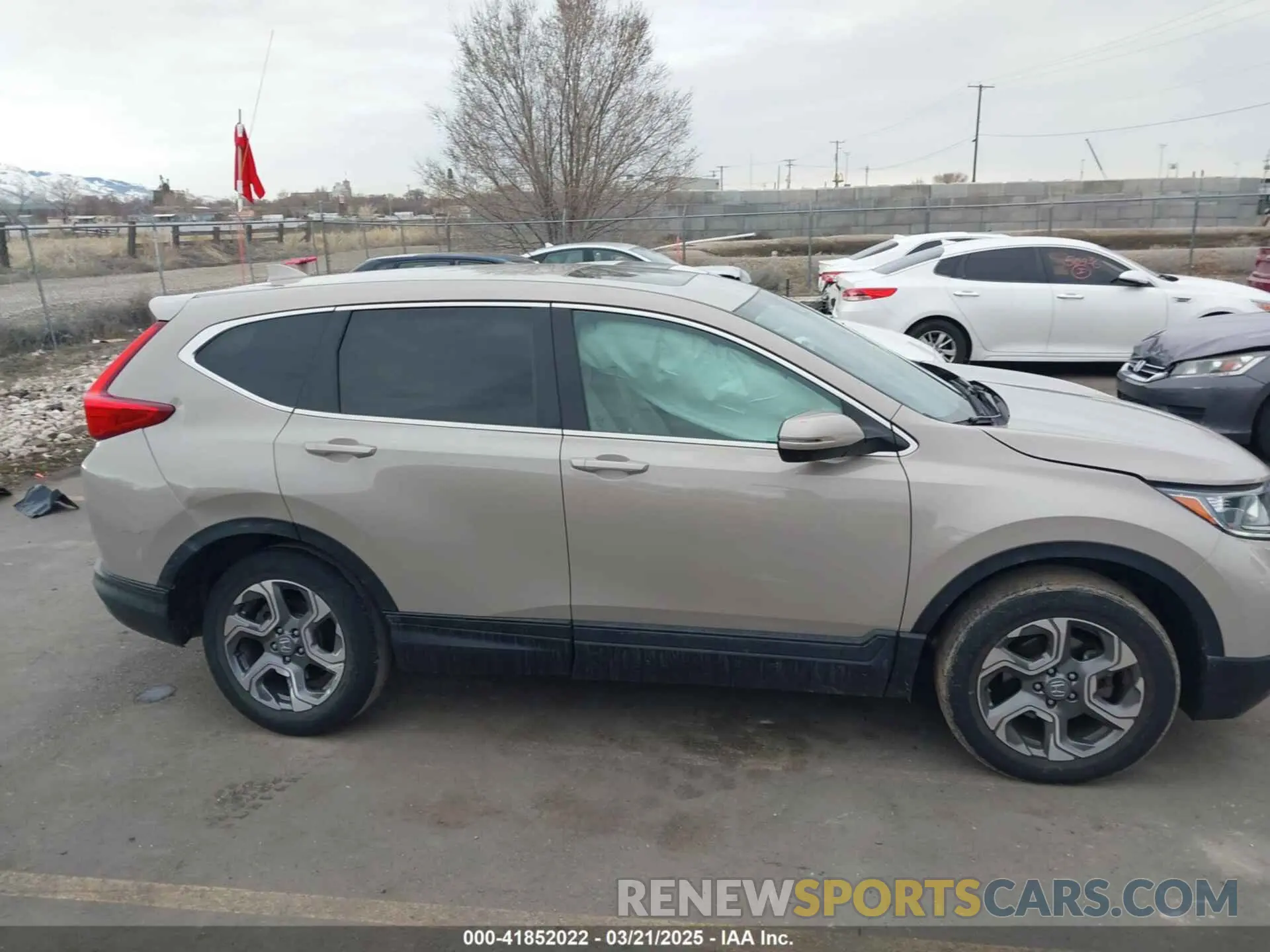 13 Photograph of a damaged car 5J6RW2H53KL019509 HONDA CR-V 2019