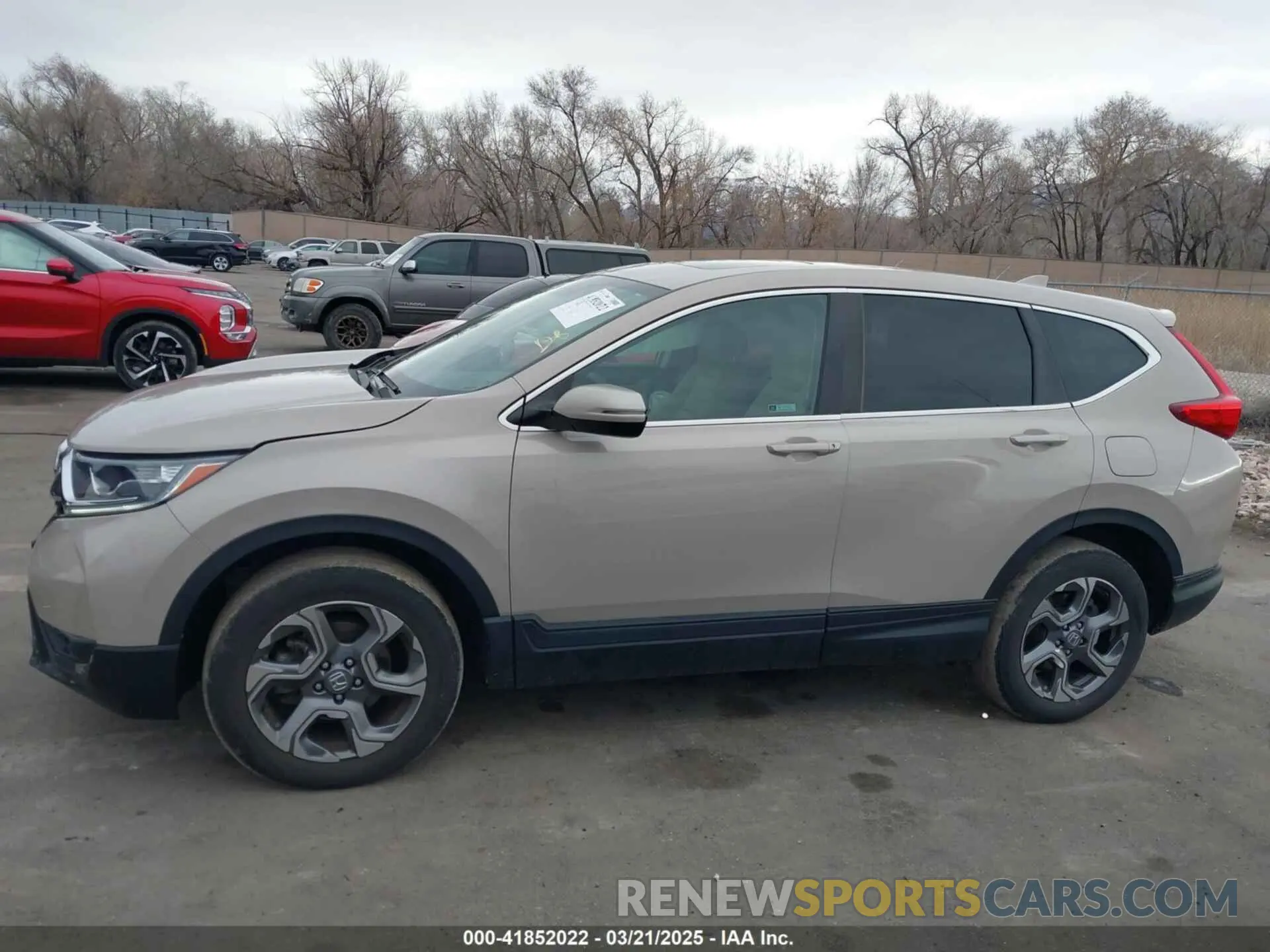 14 Photograph of a damaged car 5J6RW2H53KL019509 HONDA CR-V 2019