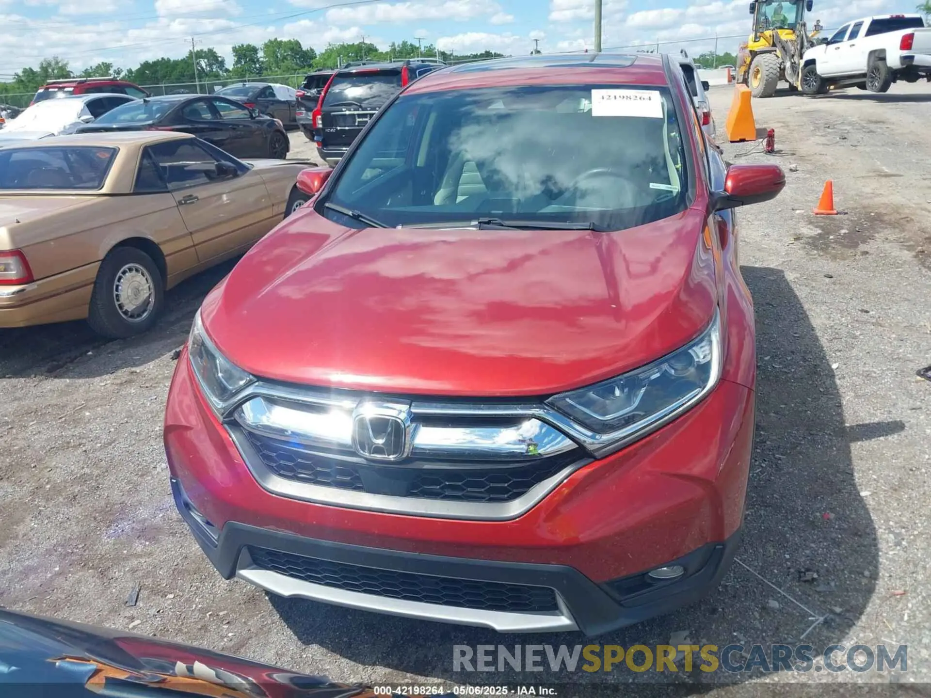 12 Photograph of a damaged car 5J6RW2H54KL017235 HONDA CR-V 2019