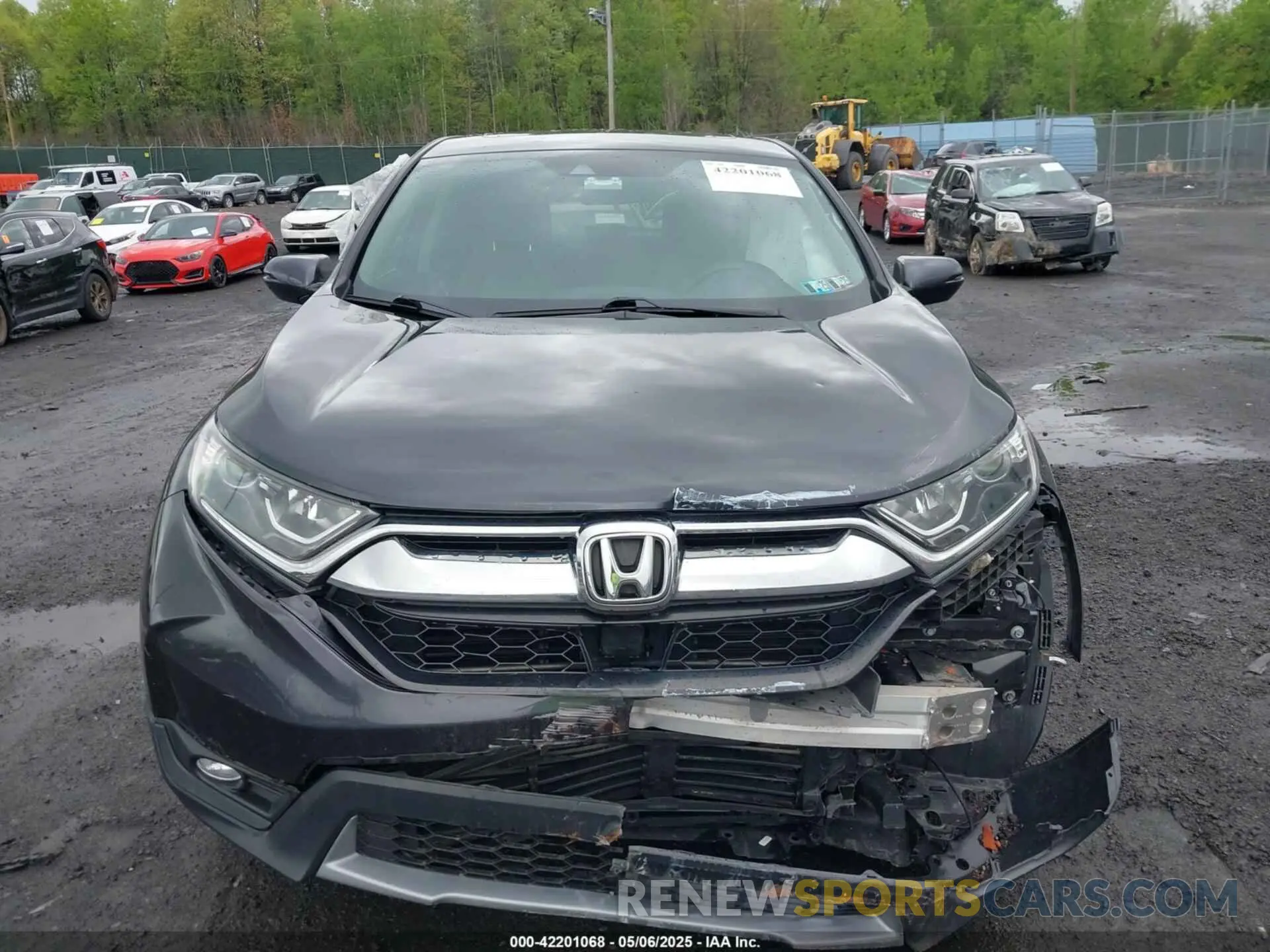 12 Photograph of a damaged car 5J6RW2H54KL034875 HONDA CR-V 2019
