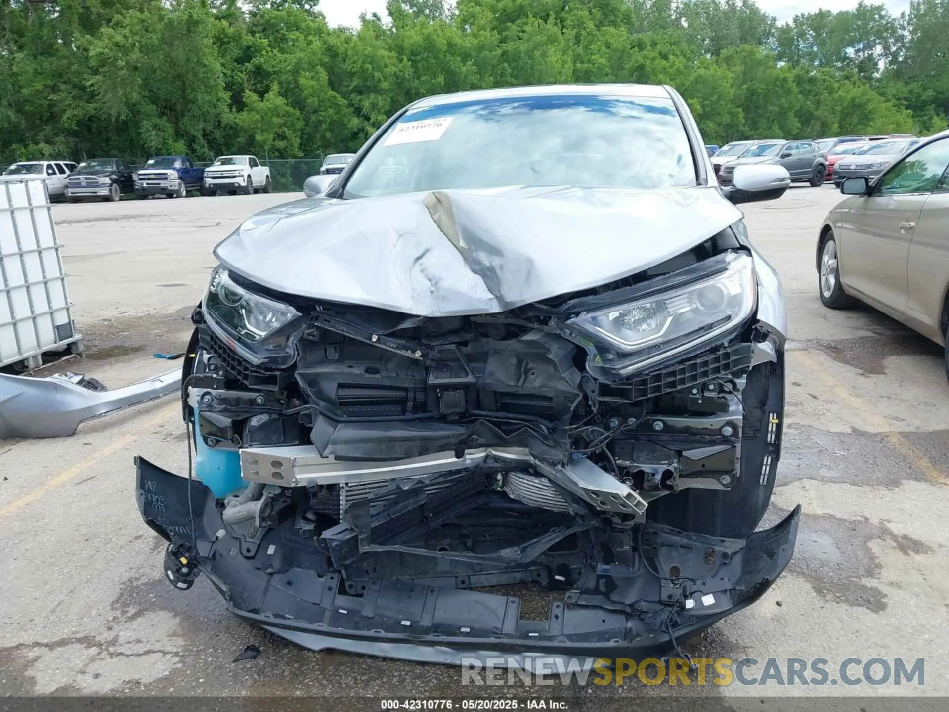 12 Photograph of a damaged car 5J6RW2H82KL029278 HONDA CR-V 2019