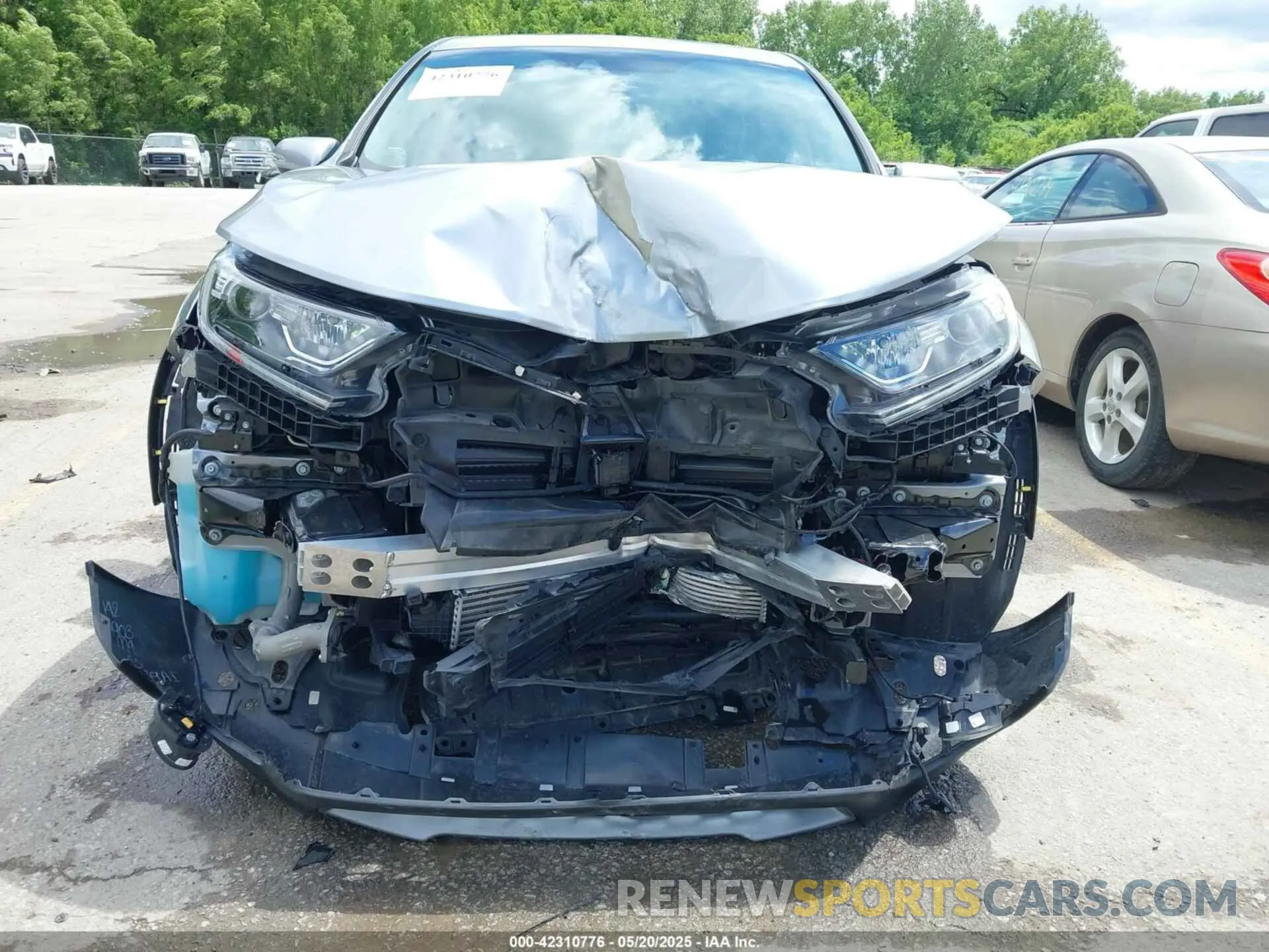 6 Photograph of a damaged car 5J6RW2H82KL029278 HONDA CR-V 2019