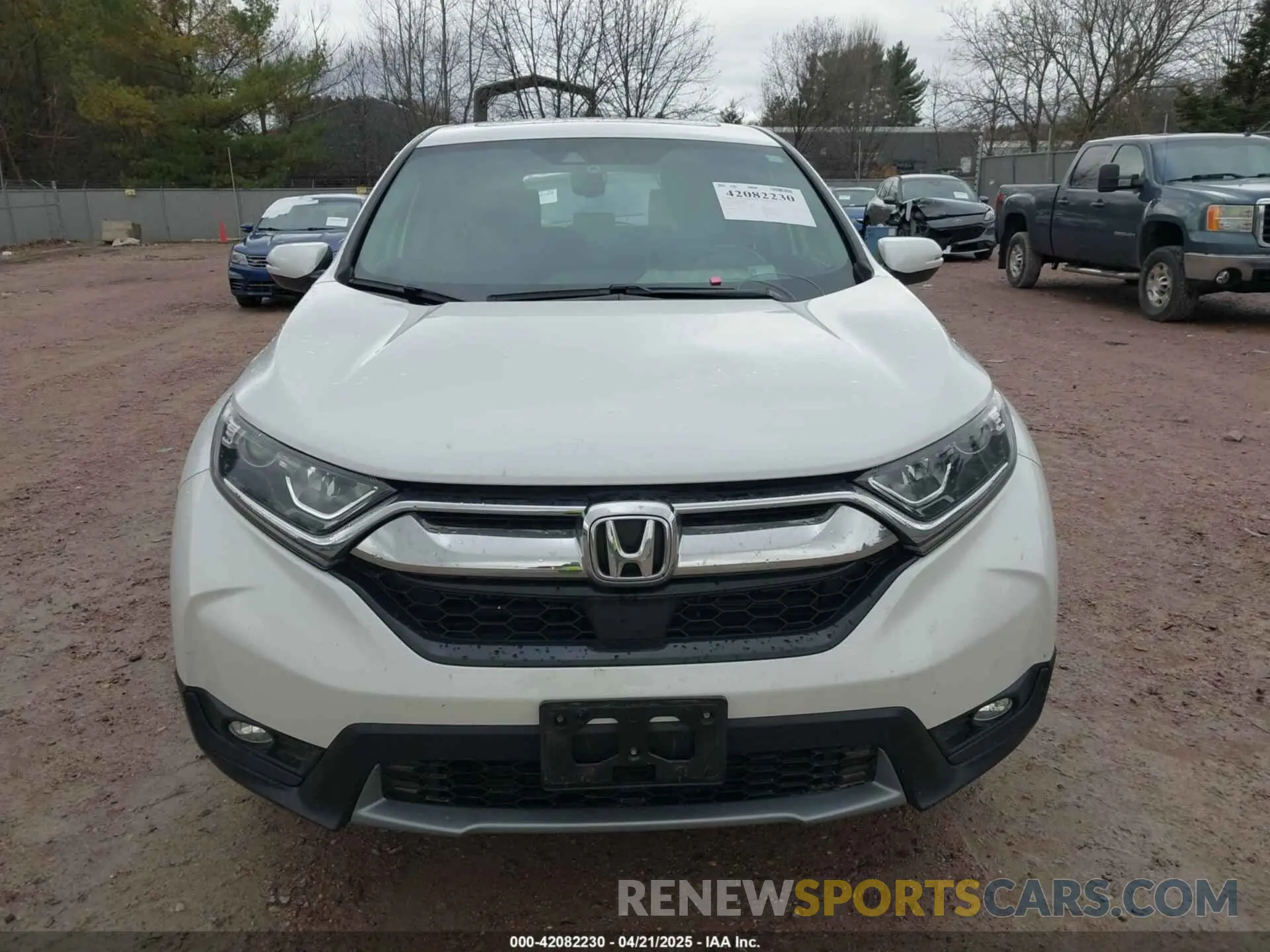 12 Photograph of a damaged car 5J6RW2H87KL018230 HONDA CR-V 2019