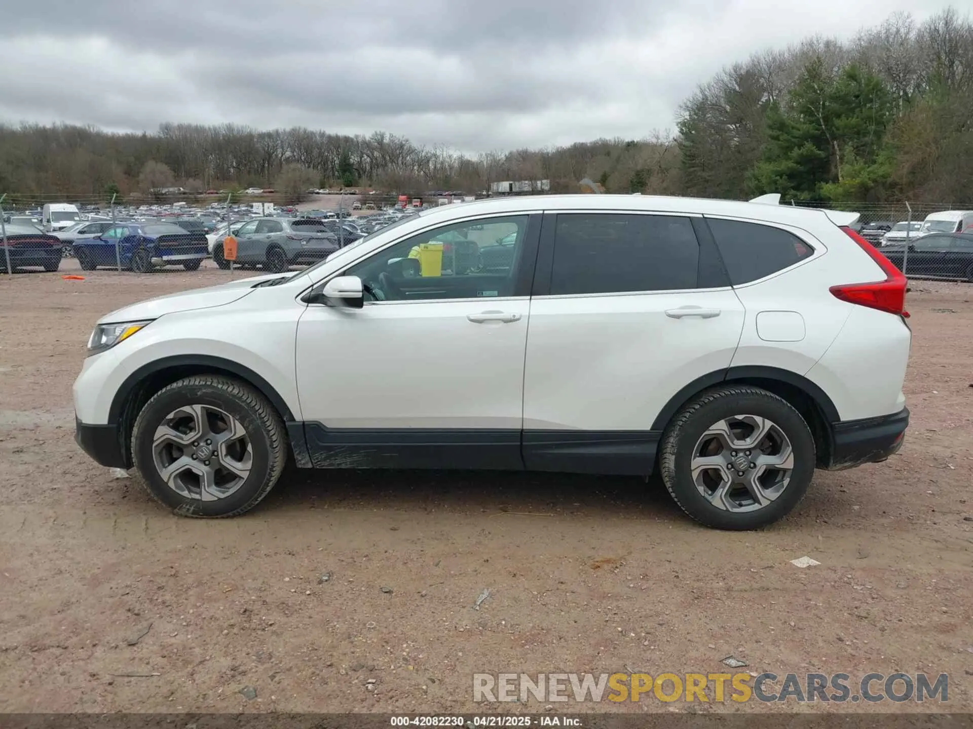14 Photograph of a damaged car 5J6RW2H87KL018230 HONDA CR-V 2019