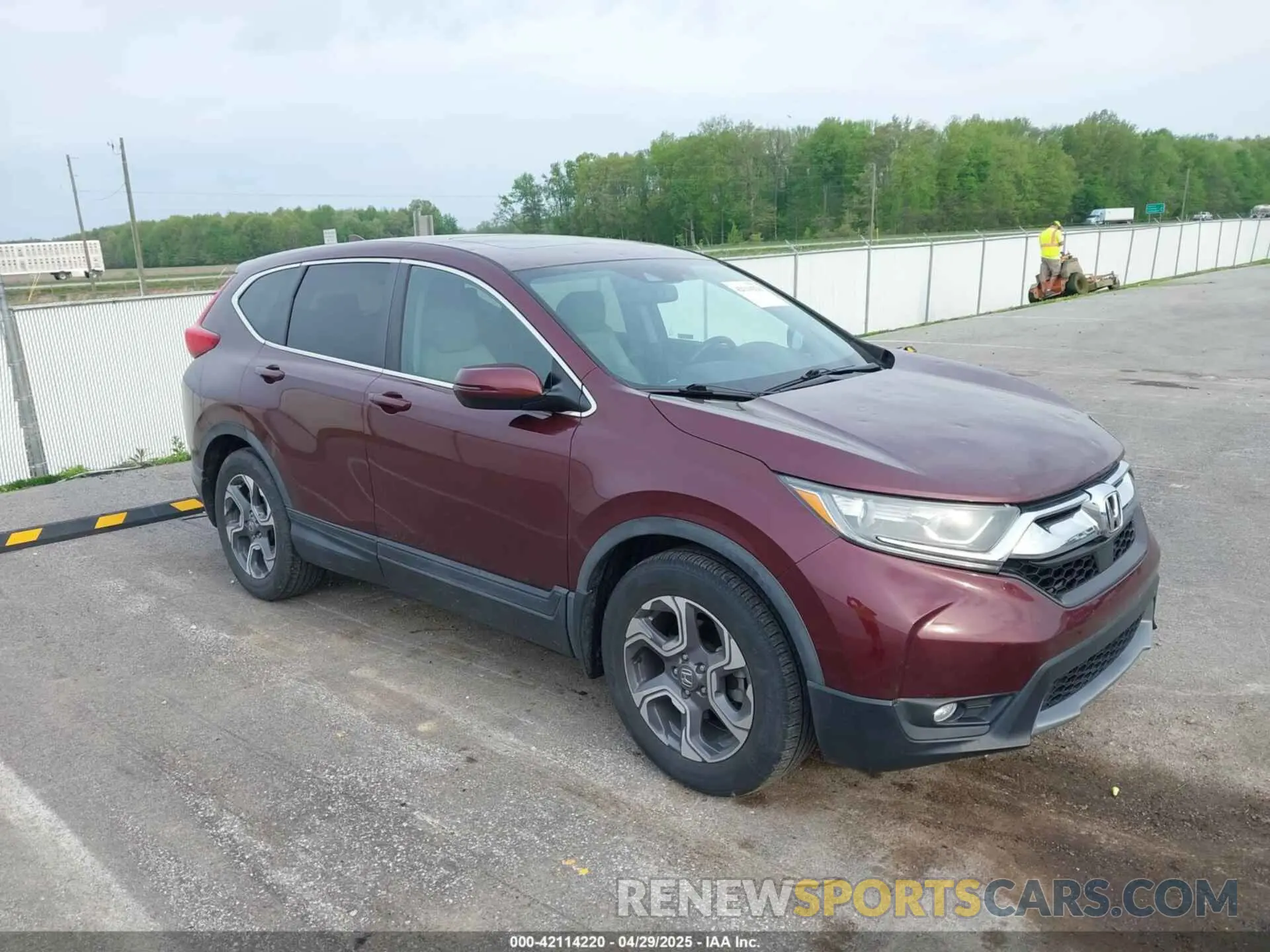 1 Photograph of a damaged car 7FARW1H80KE013409 HONDA CR-V 2019