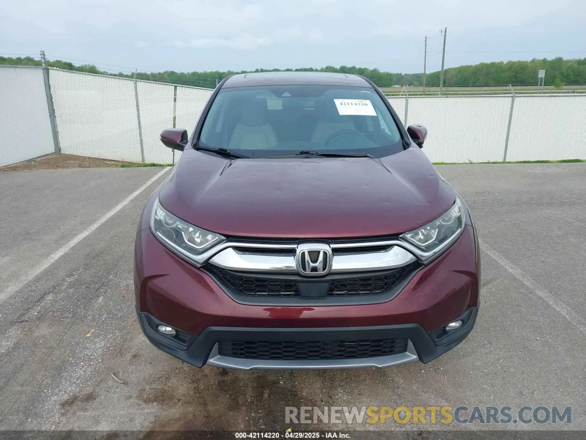 12 Photograph of a damaged car 7FARW1H80KE013409 HONDA CR-V 2019