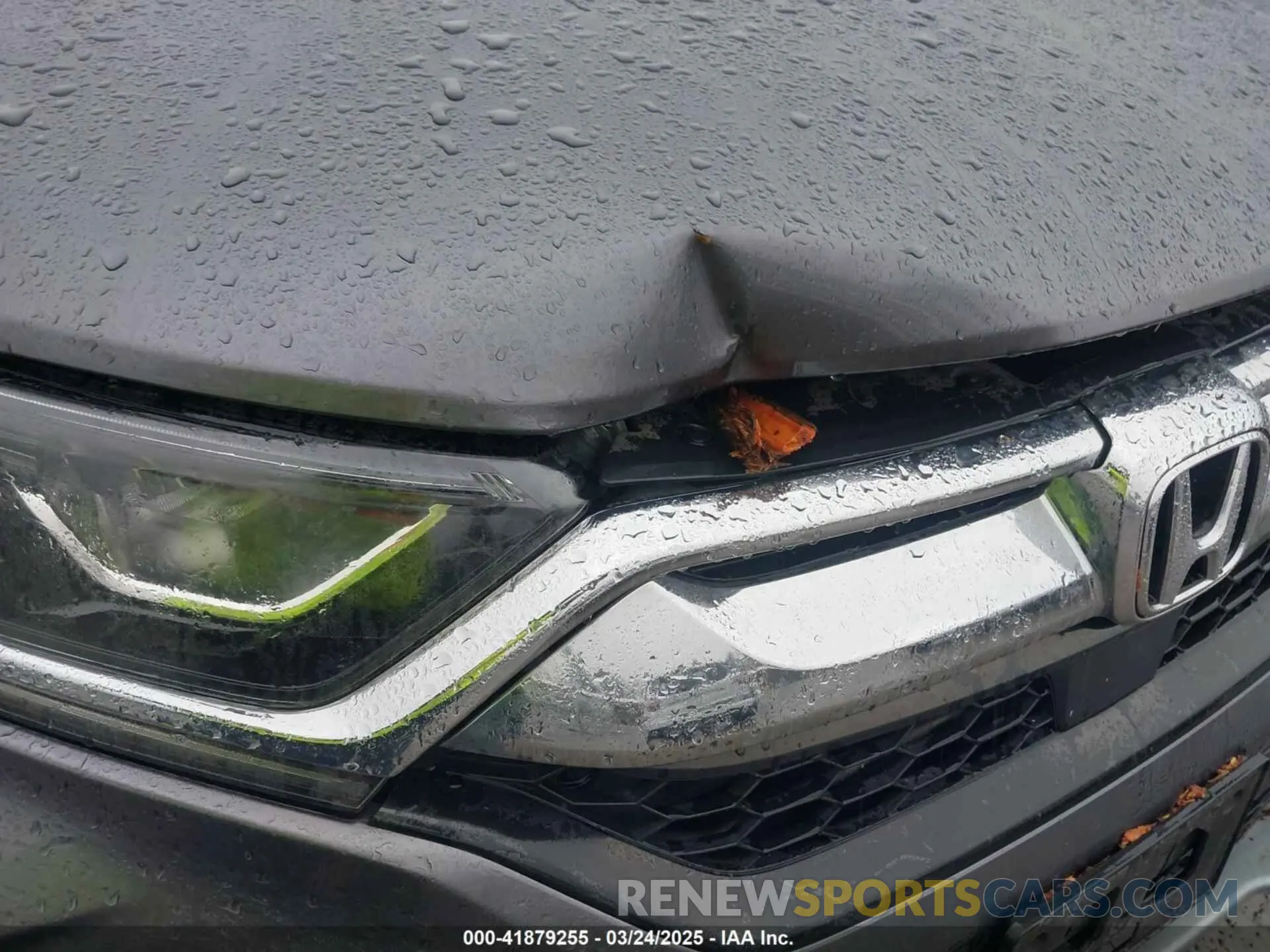 17 Photograph of a damaged car 7FARW1H81KE033300 HONDA CR-V 2019
