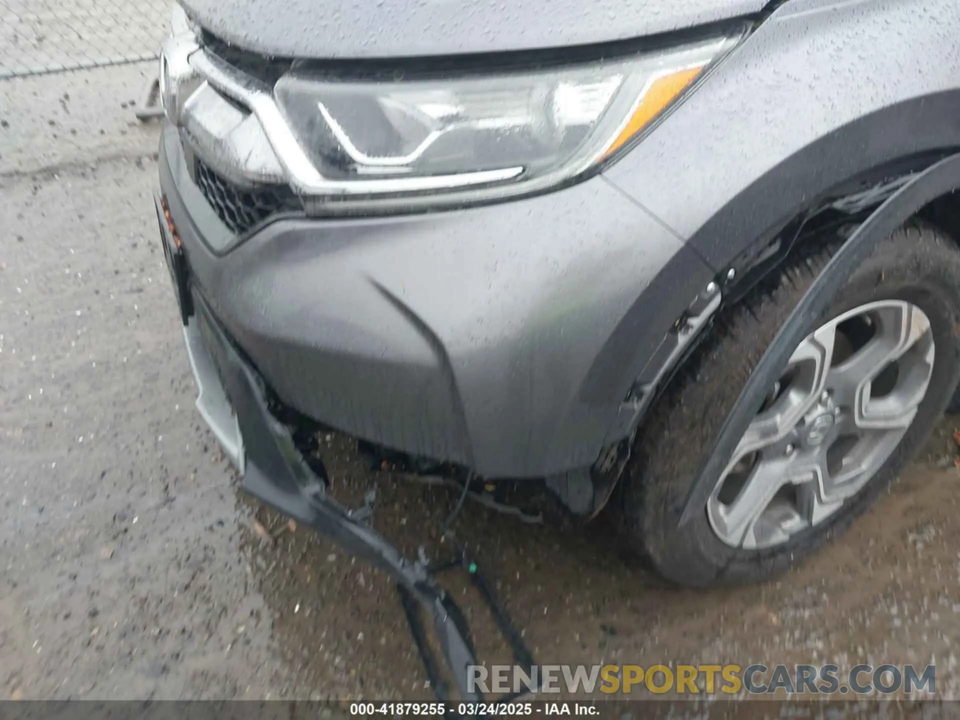 6 Photograph of a damaged car 7FARW1H81KE033300 HONDA CR-V 2019