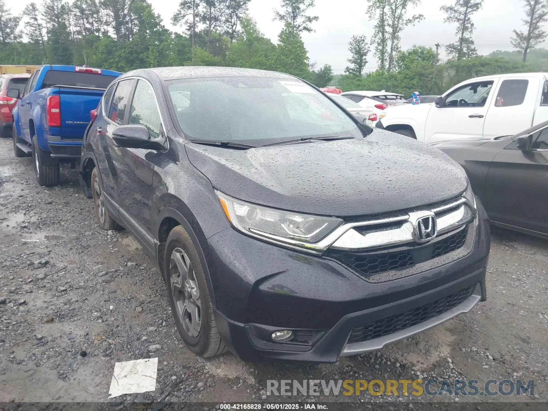 1 Photograph of a damaged car 7FARW1H82KE029661 HONDA CR-V 2019