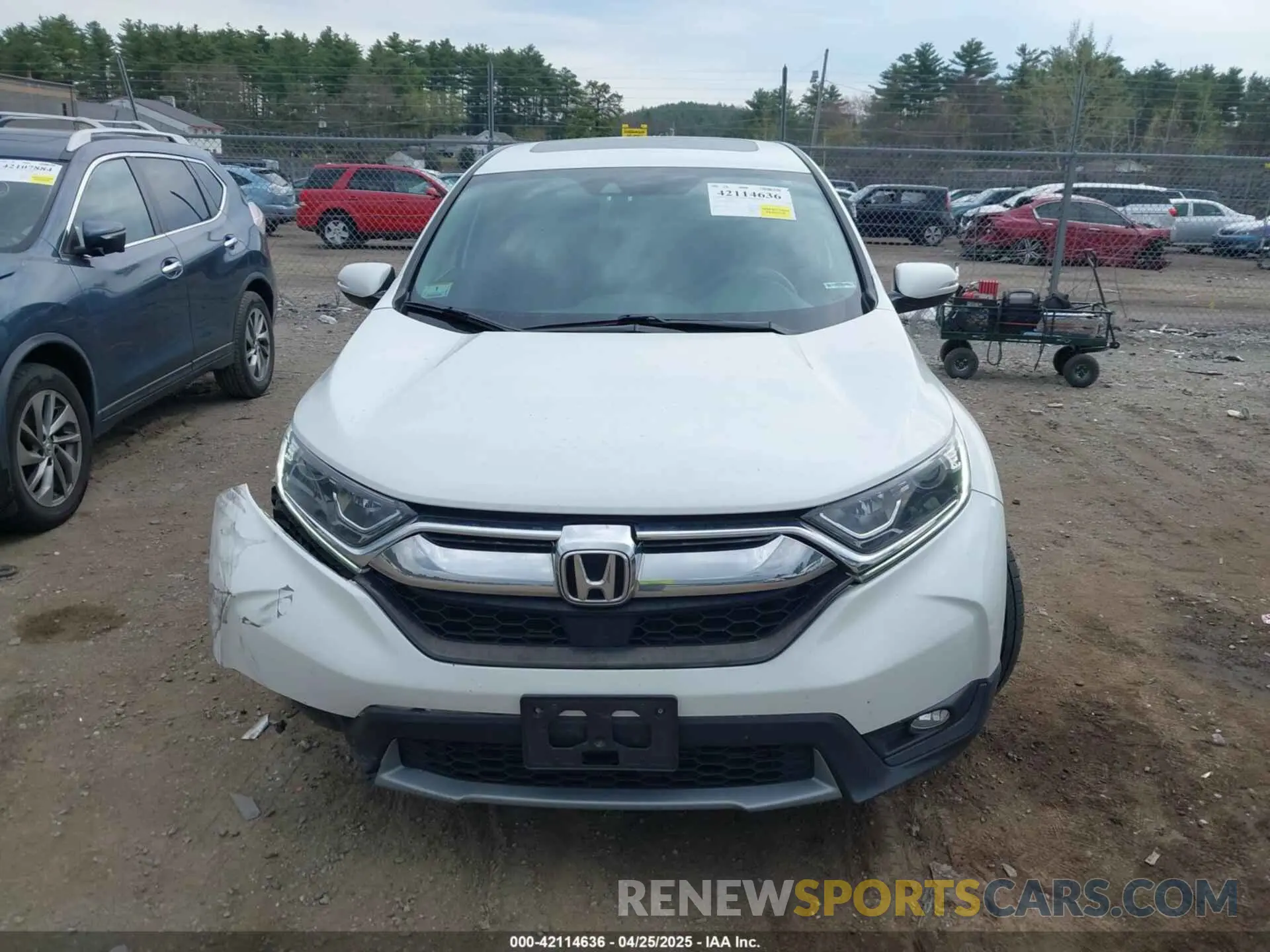 13 Photograph of a damaged car 7FARW2H5XKE029516 HONDA CR-V 2019