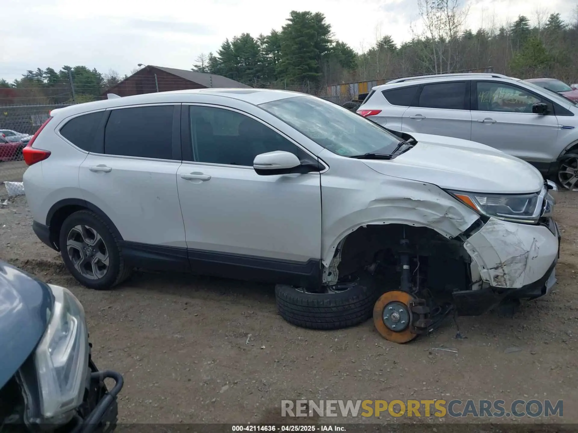 14 Photograph of a damaged car 7FARW2H5XKE029516 HONDA CR-V 2019