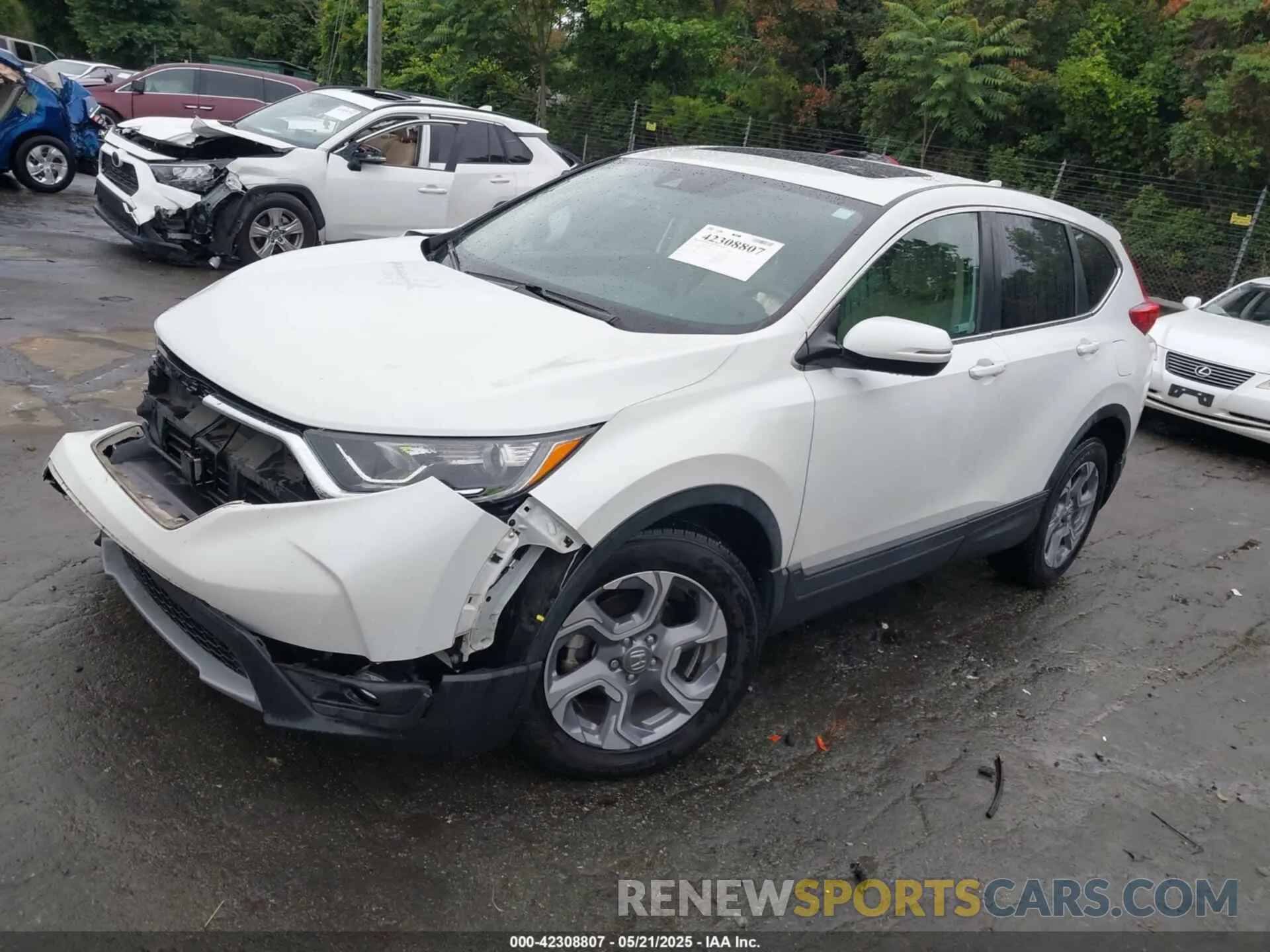2 Photograph of a damaged car 7FARW2H87KE052827 HONDA CR-V 2019