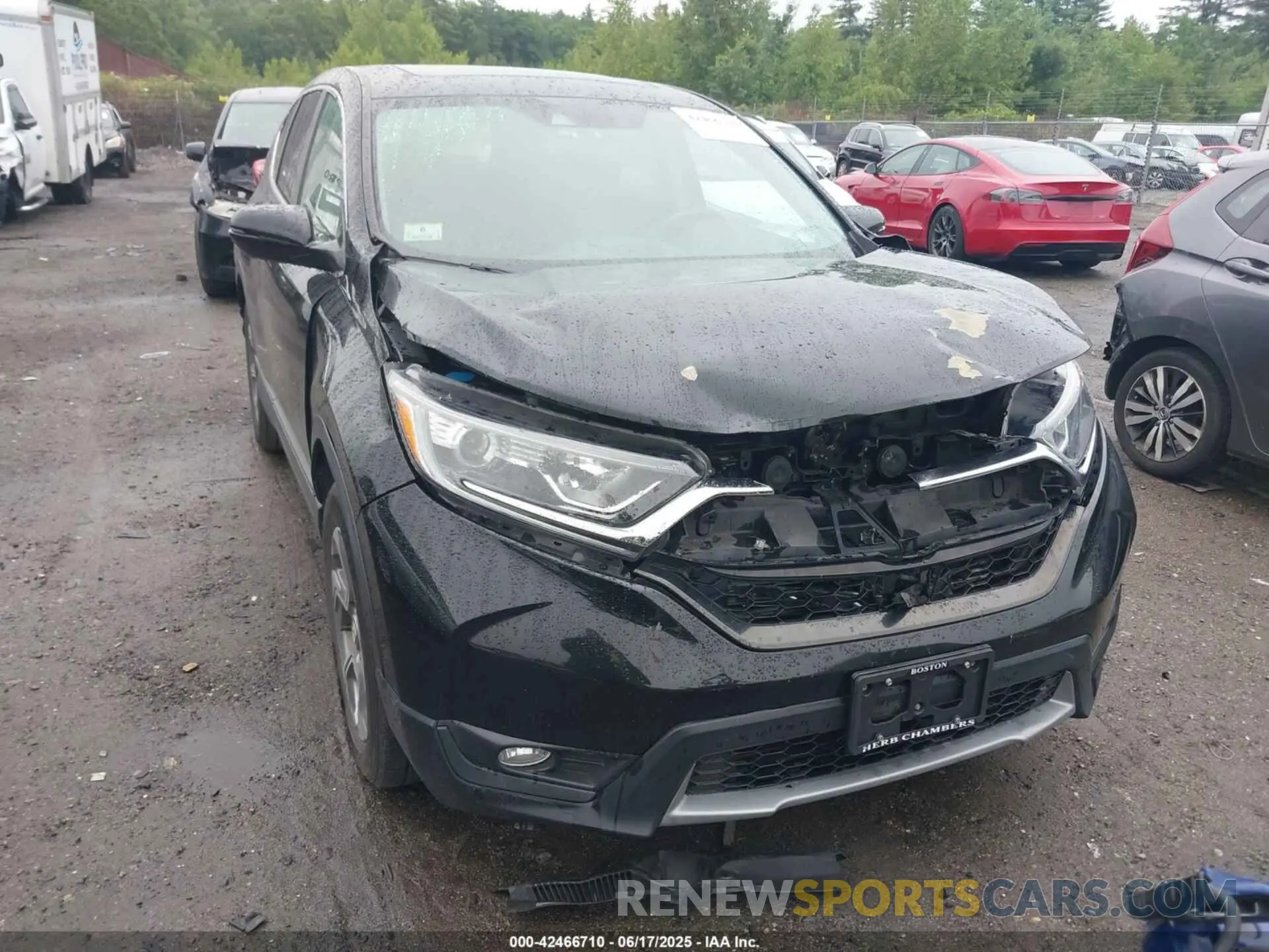 12 Photograph of a damaged car JHLRW2H83KX004259 HONDA CR-V 2019