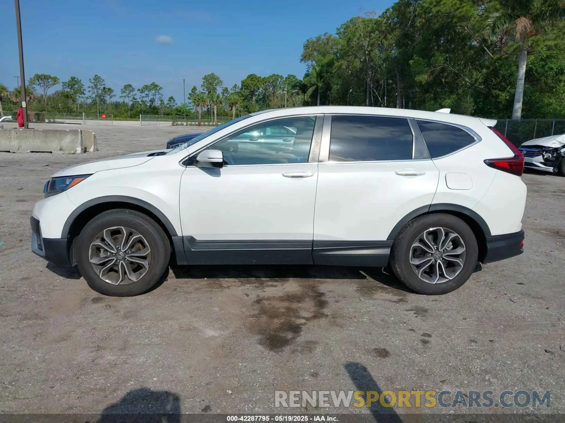 13 Photograph of a damaged car 2HKRW1H5XLH419606 HONDA CR-V 2020