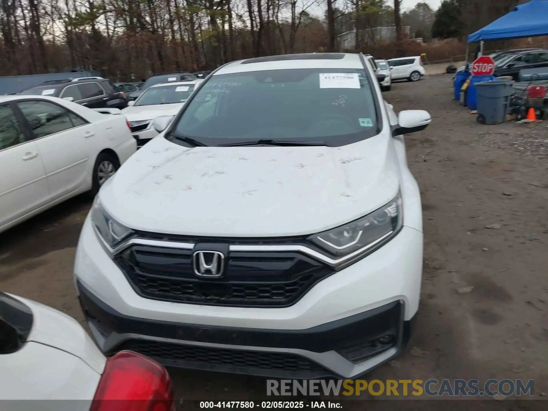 12 Photograph of a damaged car 2HKRW2H52LH611589 HONDA CR-V 2020