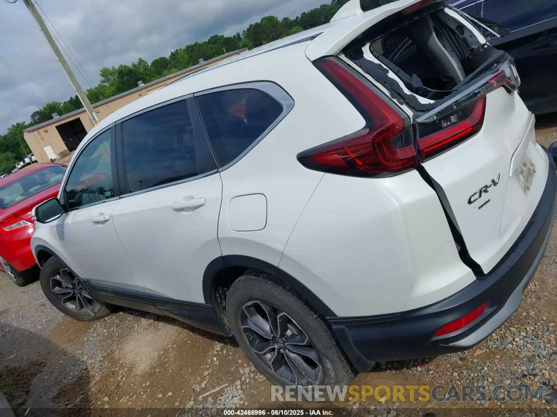 14 Photograph of a damaged car 2HKRW2H52LH689953 HONDA CR-V 2020