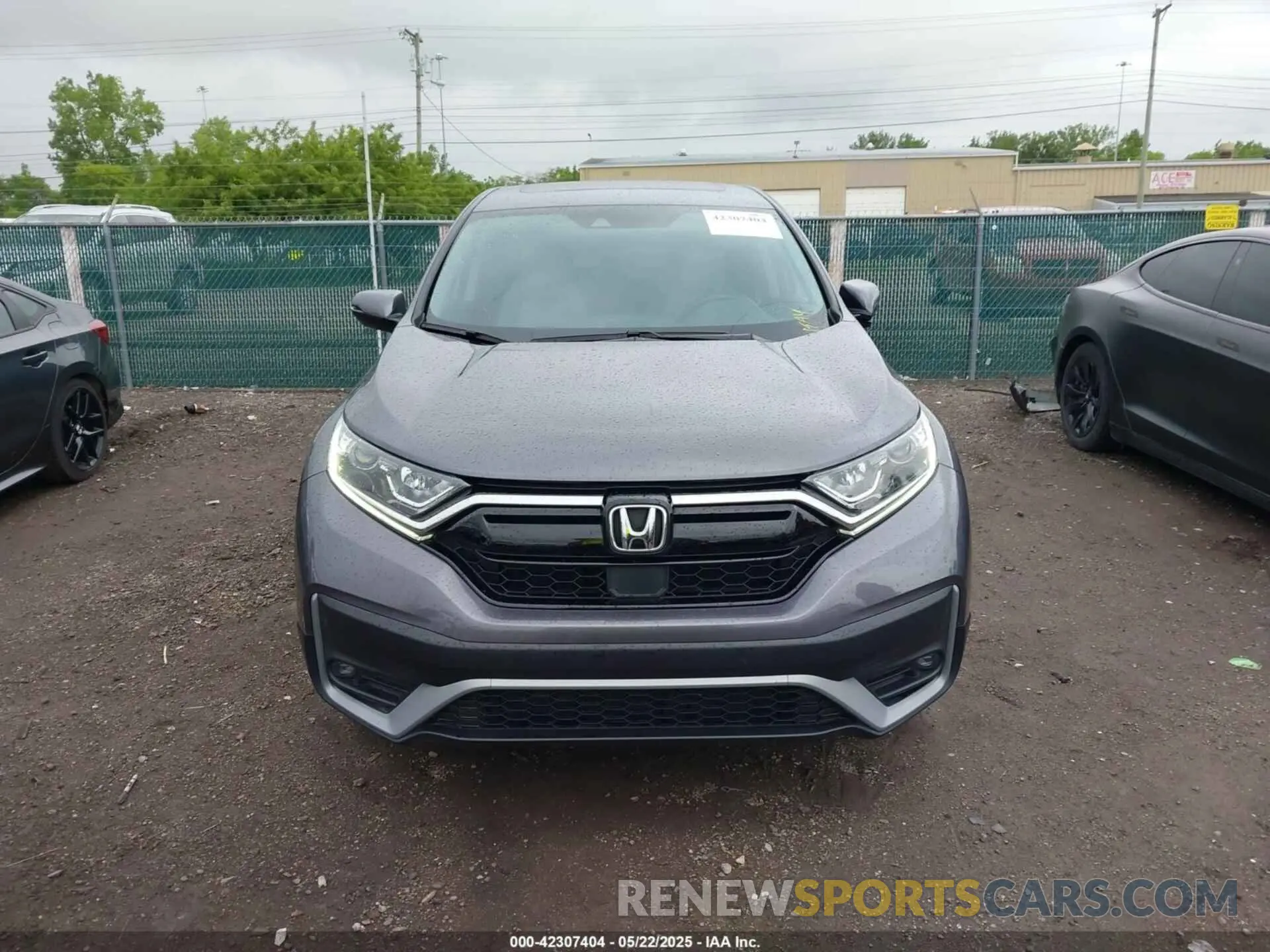 12 Photograph of a damaged car 2HKRW2H56LH661699 HONDA CR-V 2020
