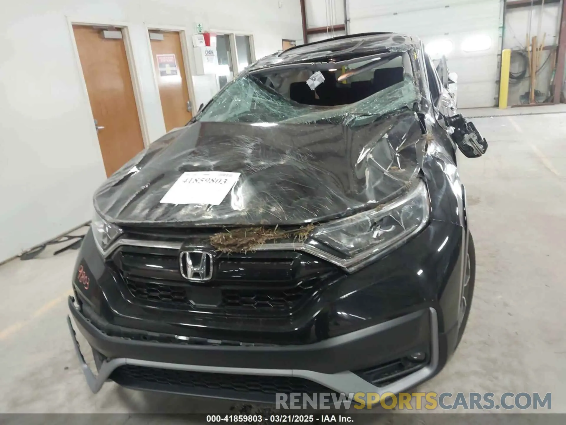 12 Photograph of a damaged car 2HKRW2H57LH635497 HONDA CR-V 2020