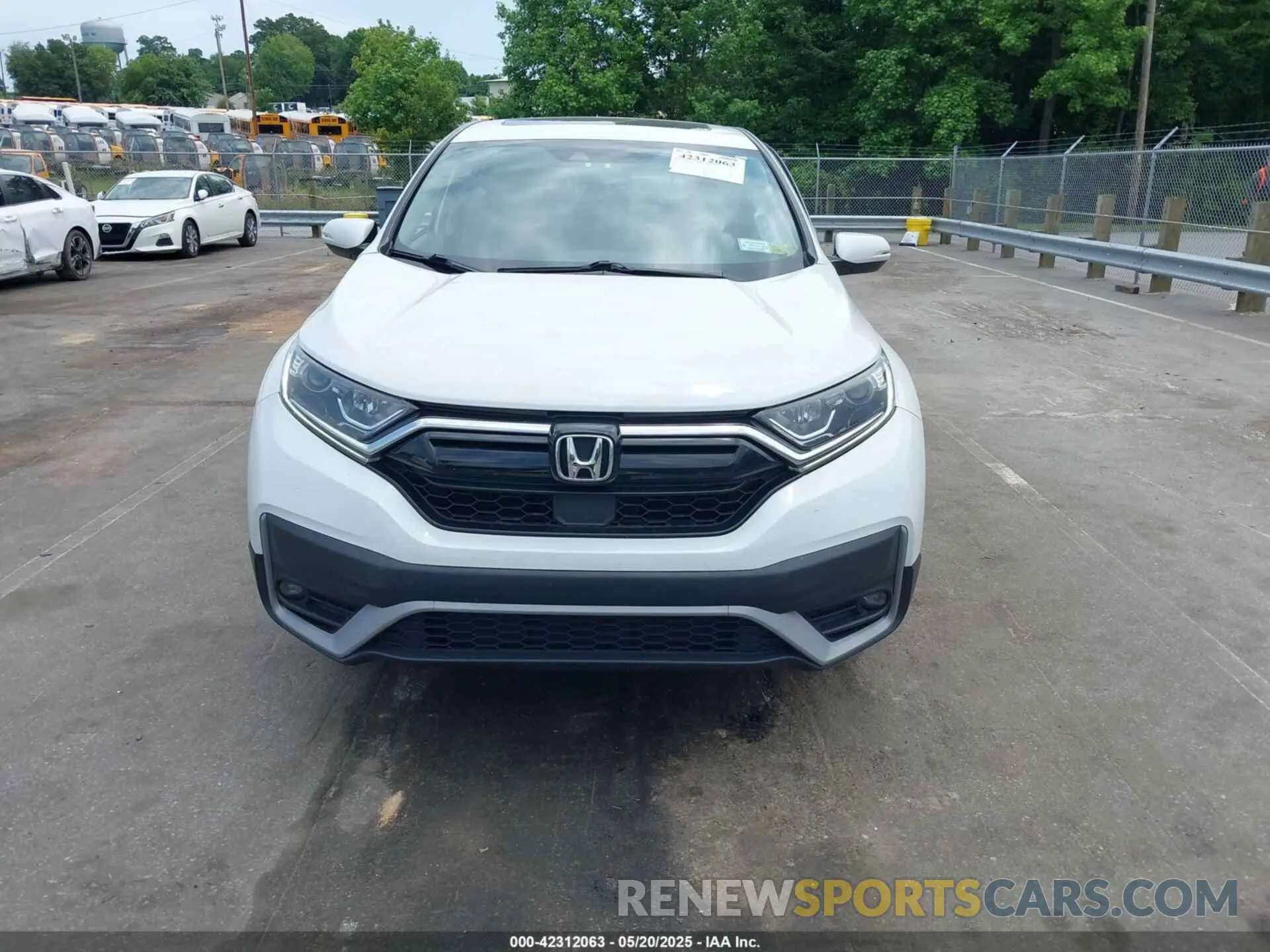 12 Photograph of a damaged car 2HKRW2H57LH699426 HONDA CR-V 2020