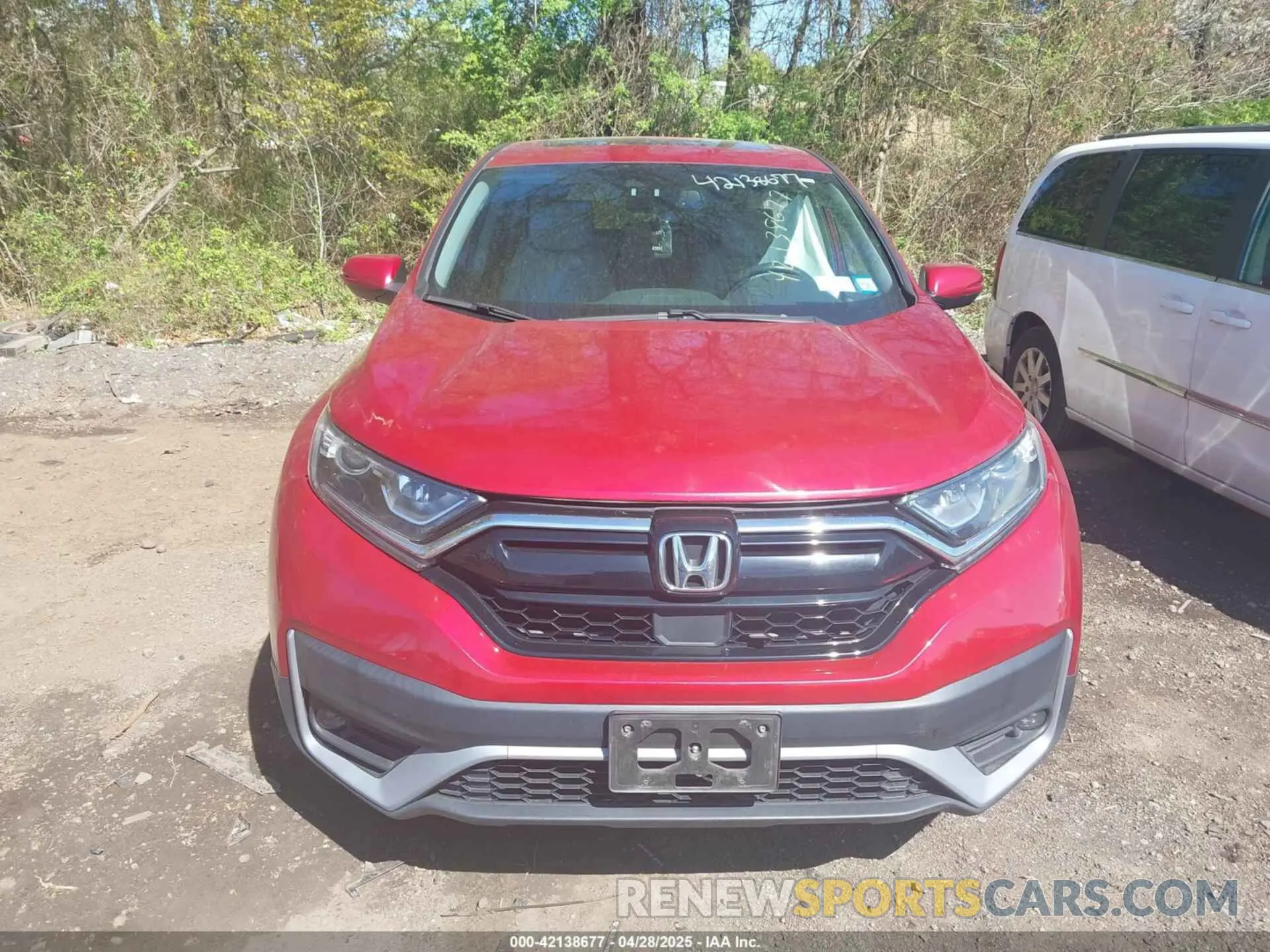 12 Photograph of a damaged car 2HKRW2H83LH637337 HONDA CR-V 2020