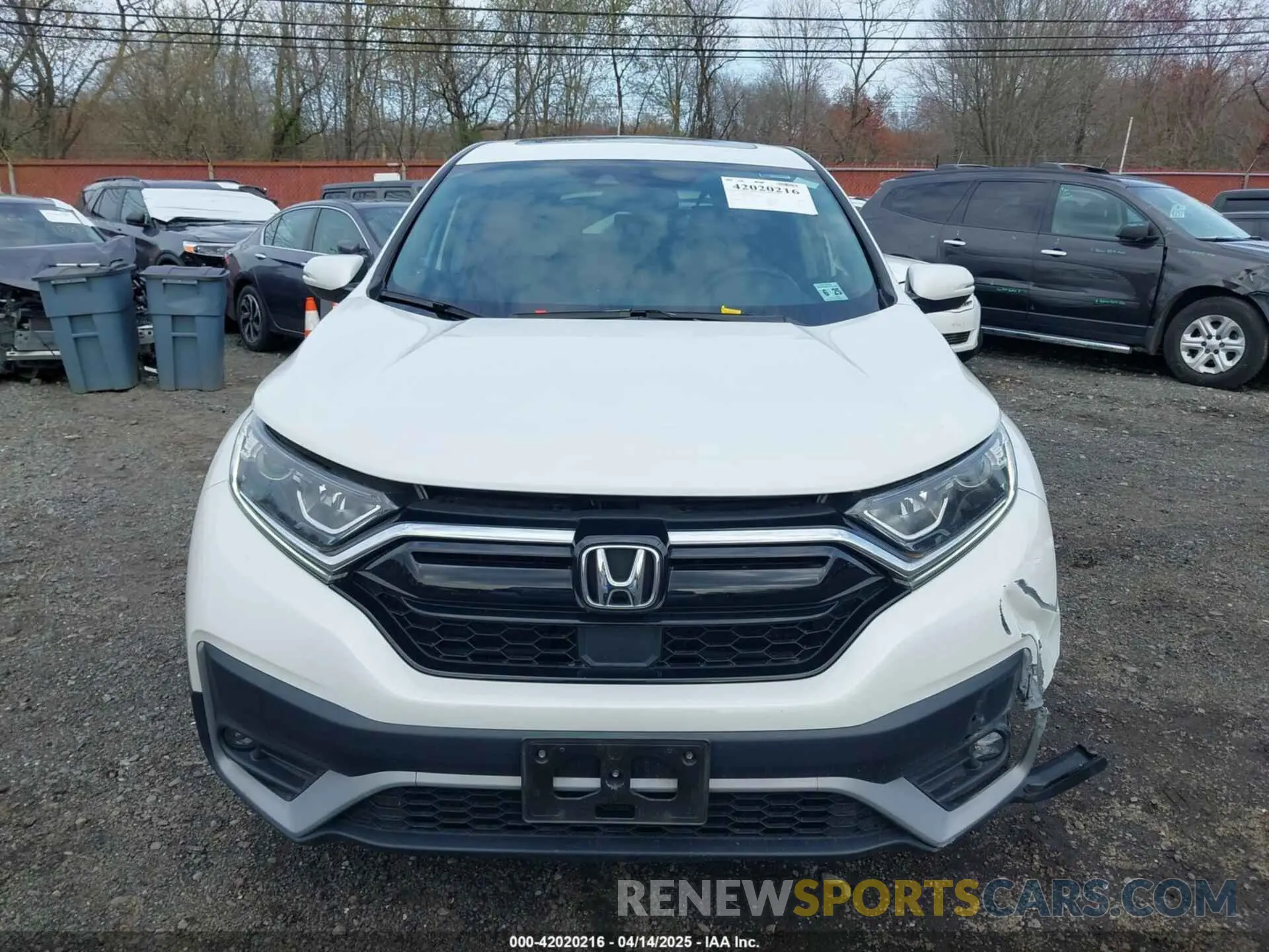 12 Photograph of a damaged car 2HKRW2H86LH635386 HONDA CR-V 2020