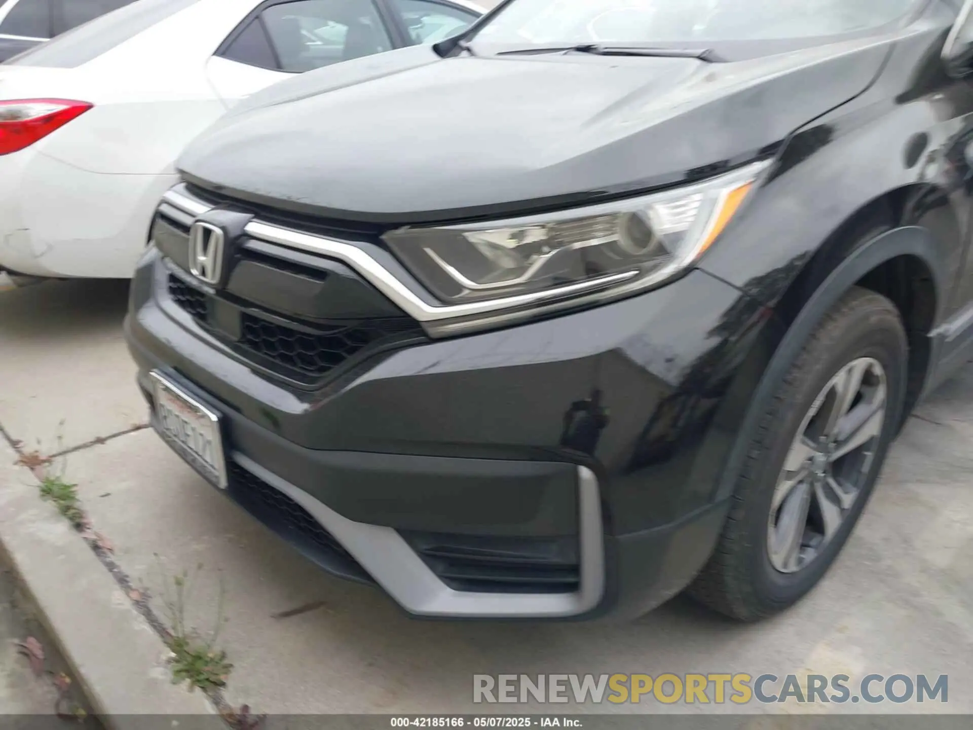 12 Photograph of a damaged car 5J6RW1H24LA015661 HONDA CR-V 2020