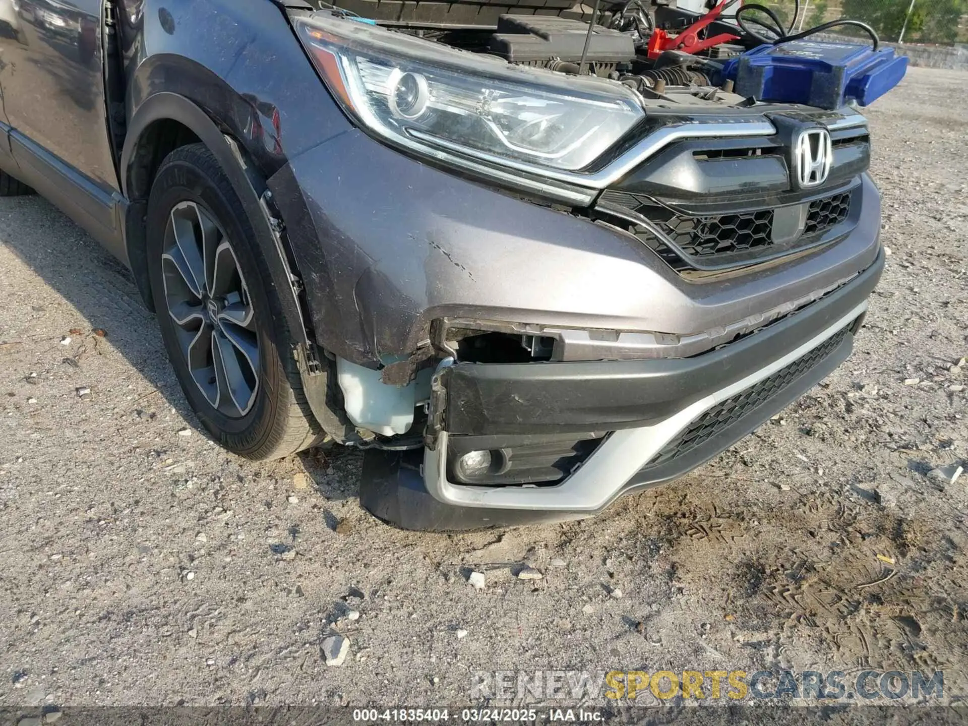 6 Photograph of a damaged car 5J6RW1H50LA019300 HONDA CR-V 2020