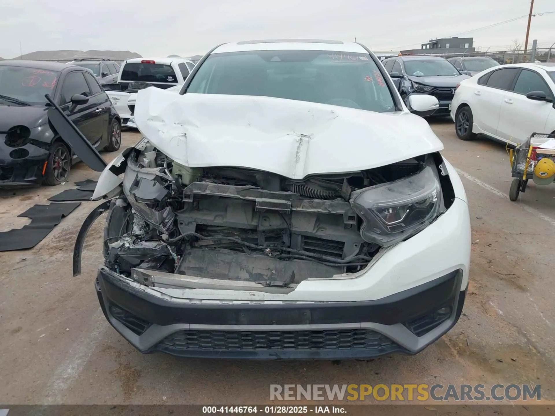 12 Photograph of a damaged car 5J6RW1H5XLA014301 HONDA CR-V 2020
