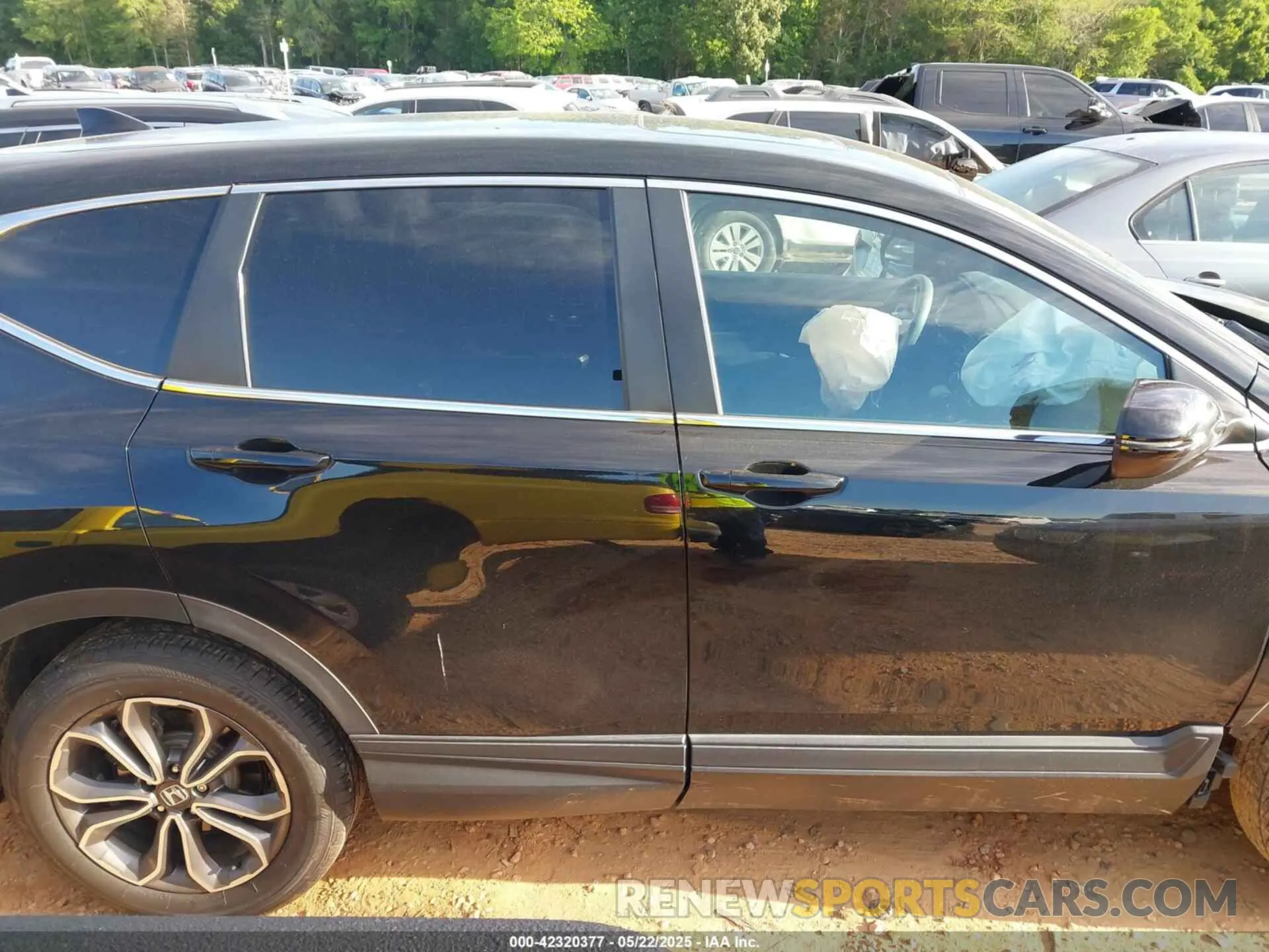 13 Photograph of a damaged car 5J6RW2H5XLA006091 HONDA CR-V 2020