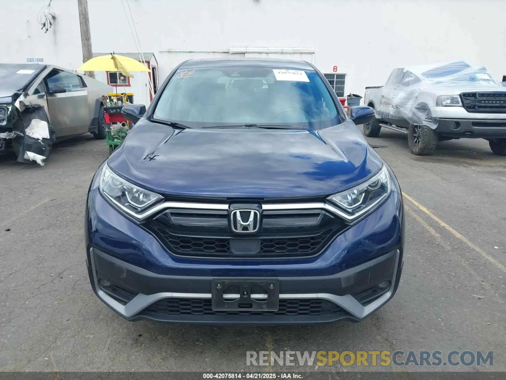 12 Photograph of a damaged car 5J6RW2H81LA000593 HONDA CR-V 2020