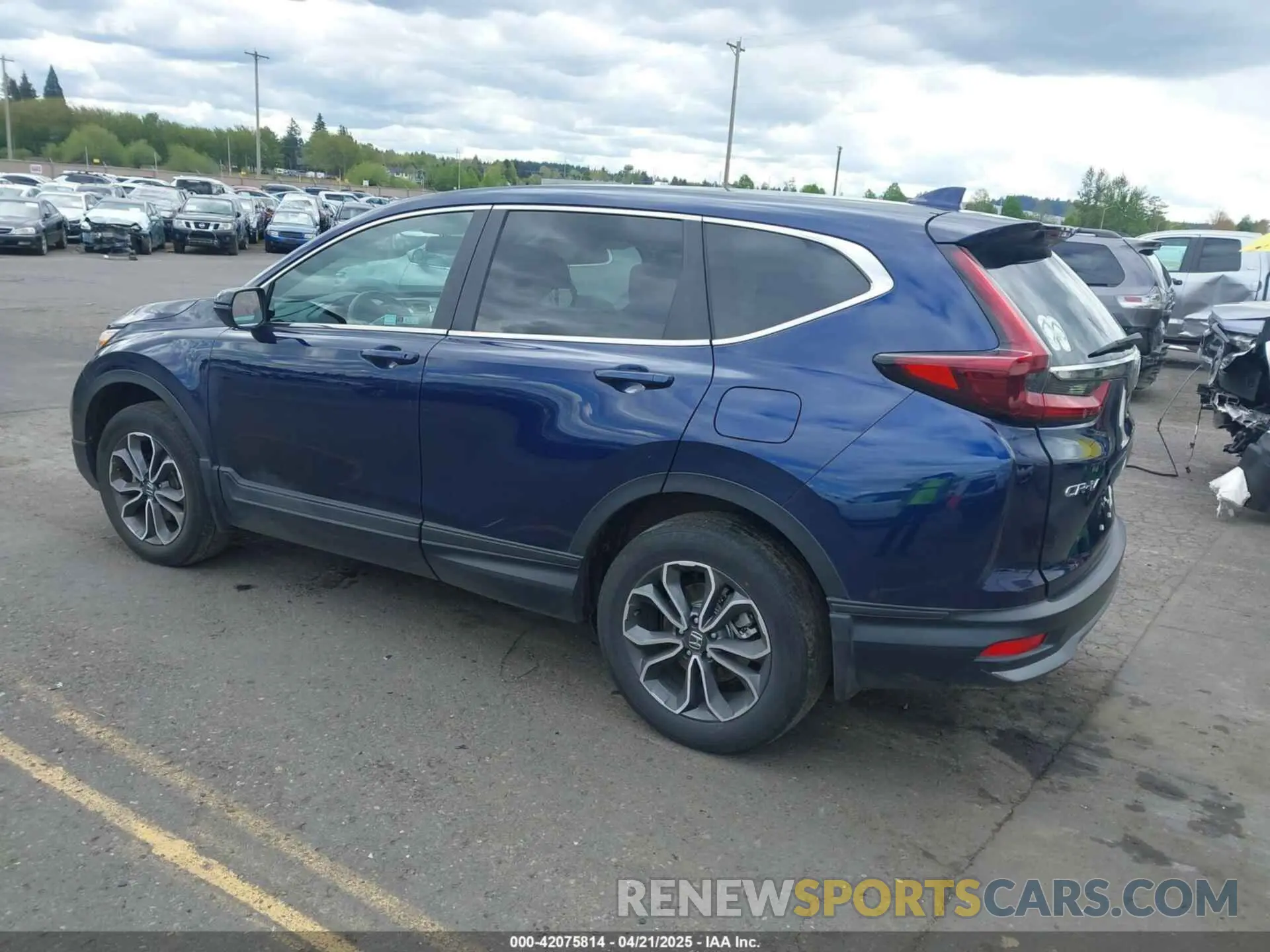 3 Photograph of a damaged car 5J6RW2H81LA000593 HONDA CR-V 2020